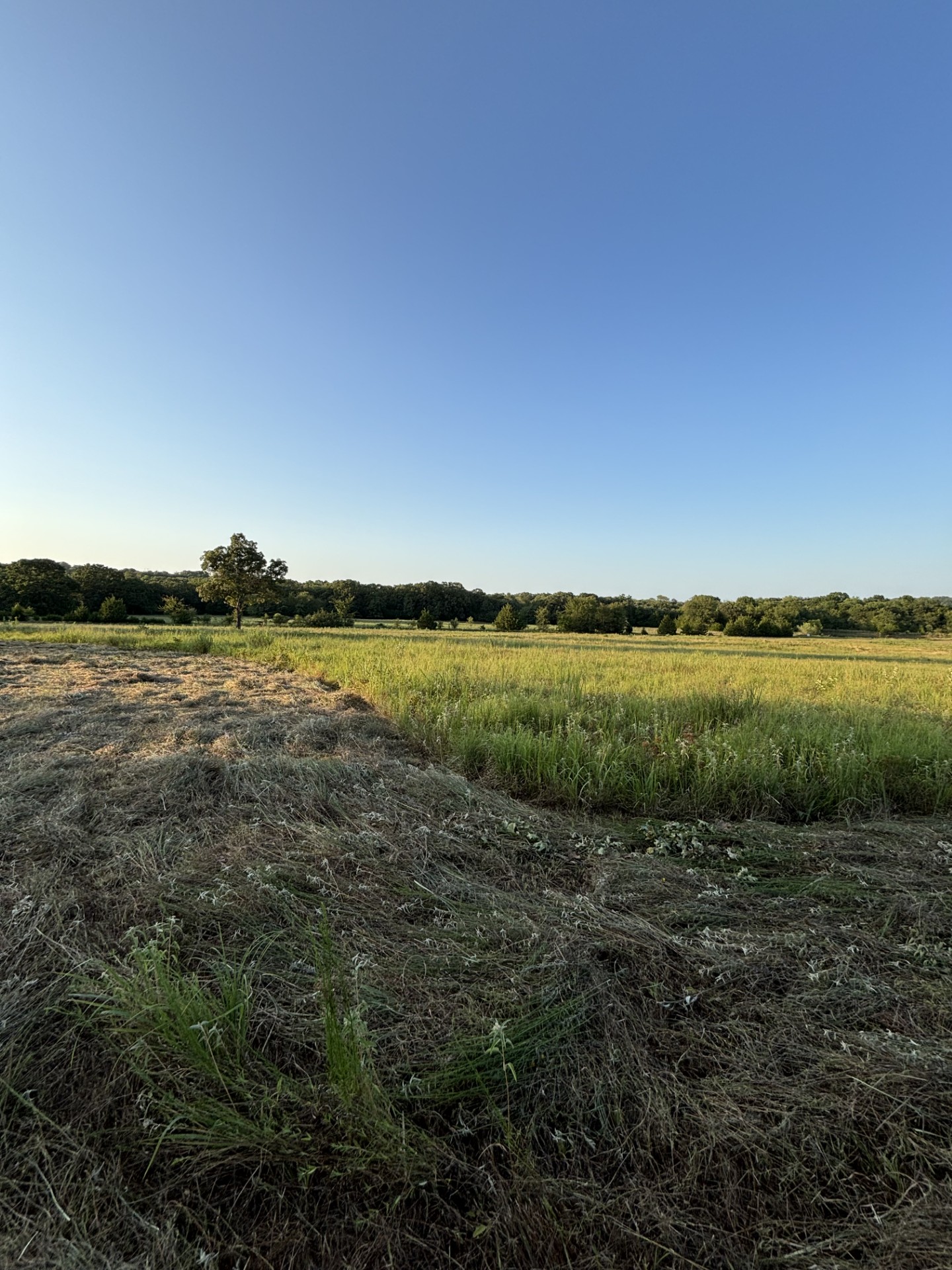 28584 County Road 1580 Property Photo 9