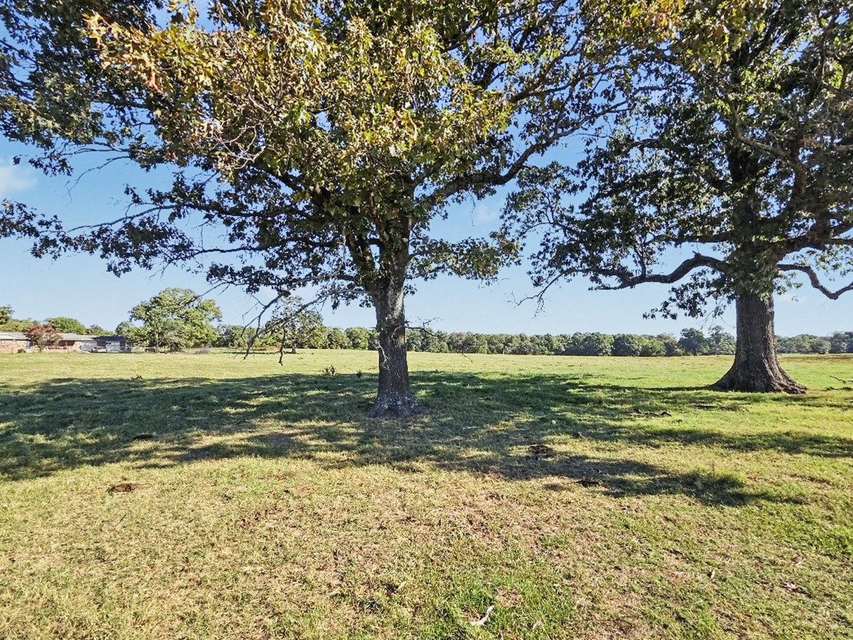 26485 Hwy 82 Property Photo 12