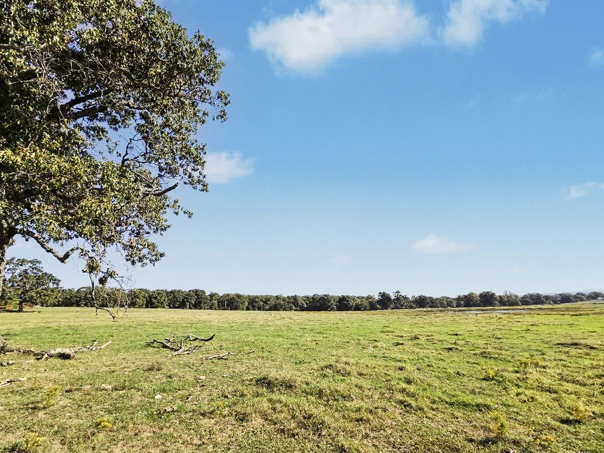 26485 Hwy 82 Property Photo 15