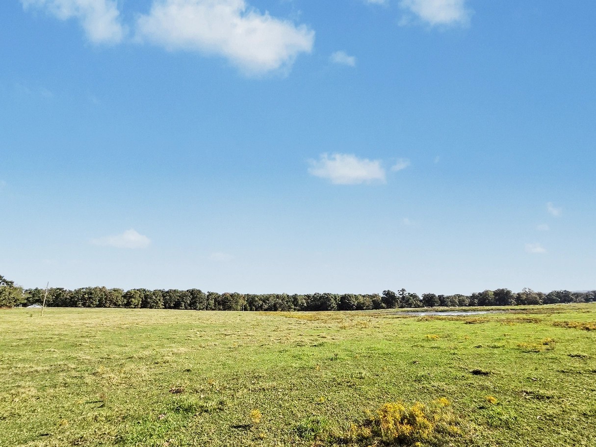 26485 Hwy 82 Property Photo 17
