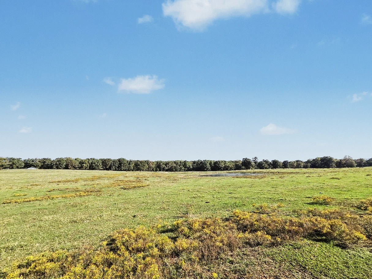 26485 Hwy 82 Property Photo 19