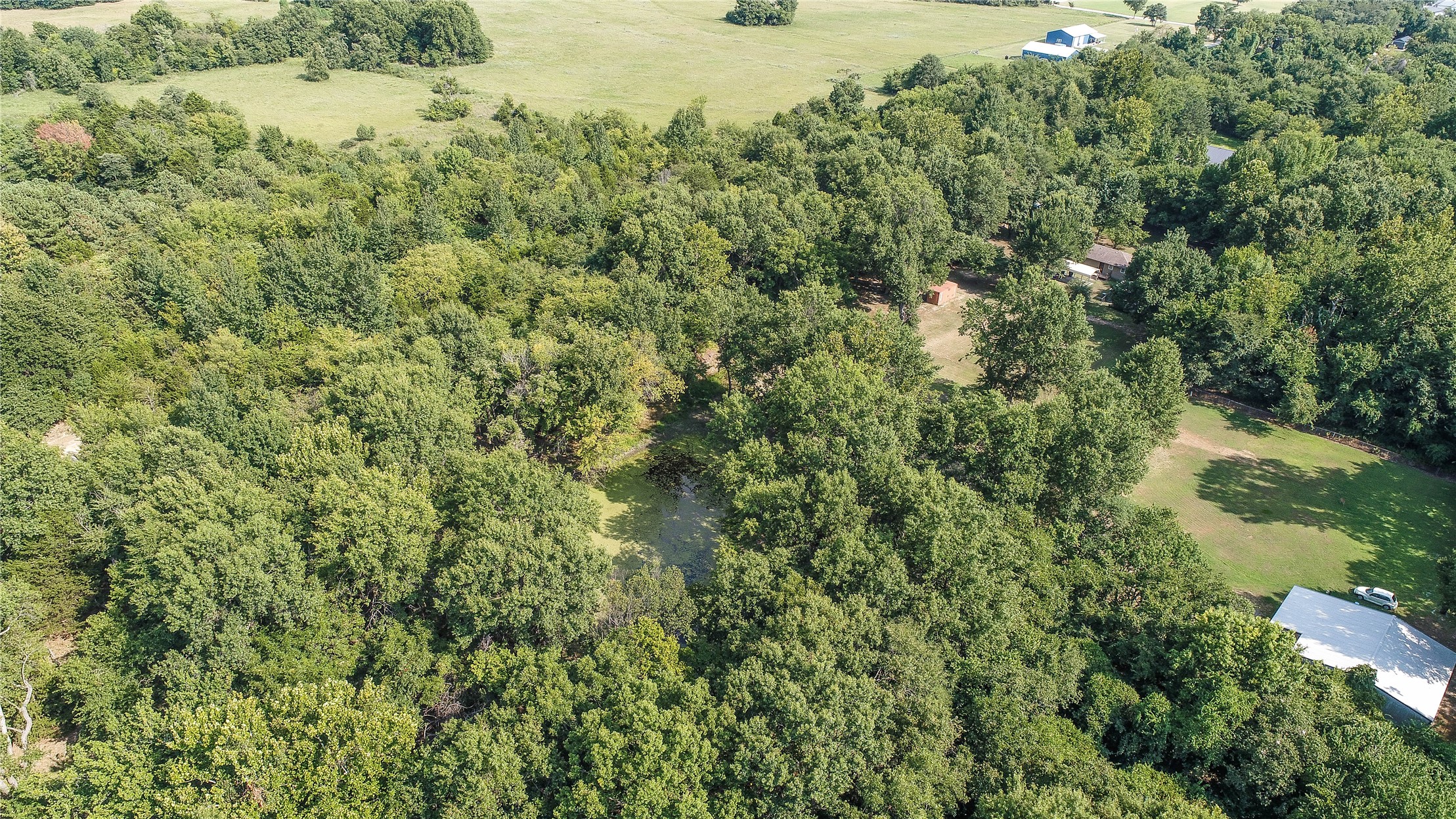 Lynn Lane Property Photo 8