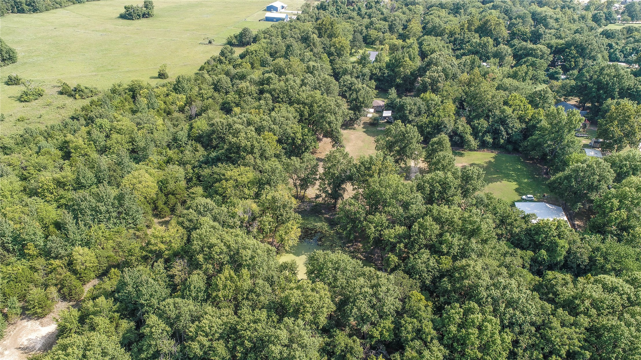 Lynn Lane Property Photo 9
