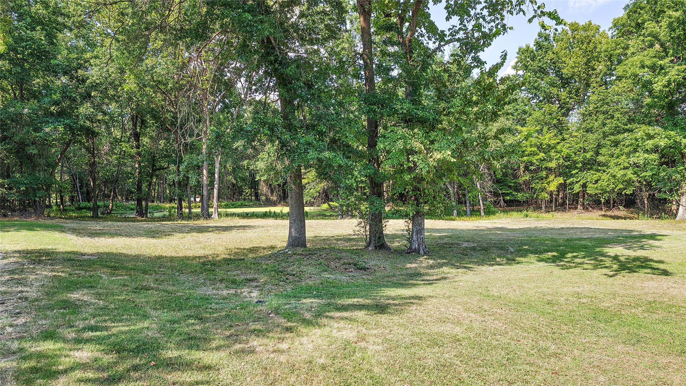 Lynn Lane Property Photo 17