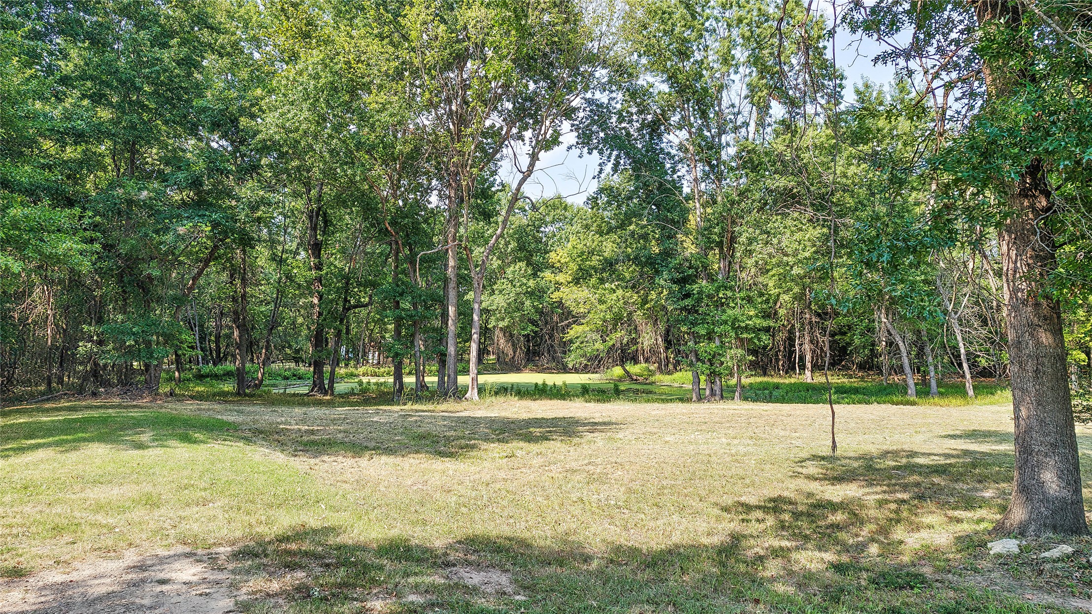 Lynn Lane Property Photo 18