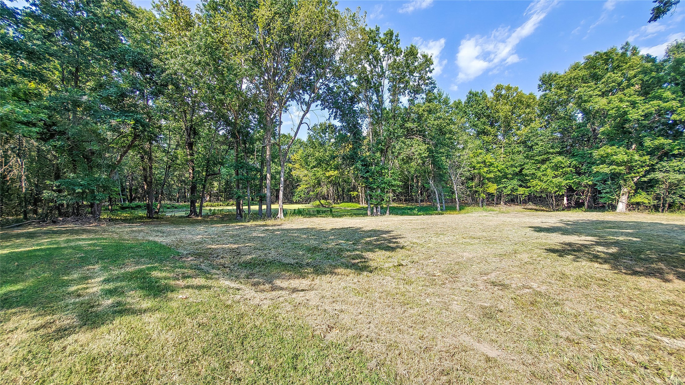 Lynn Lane Property Photo 19
