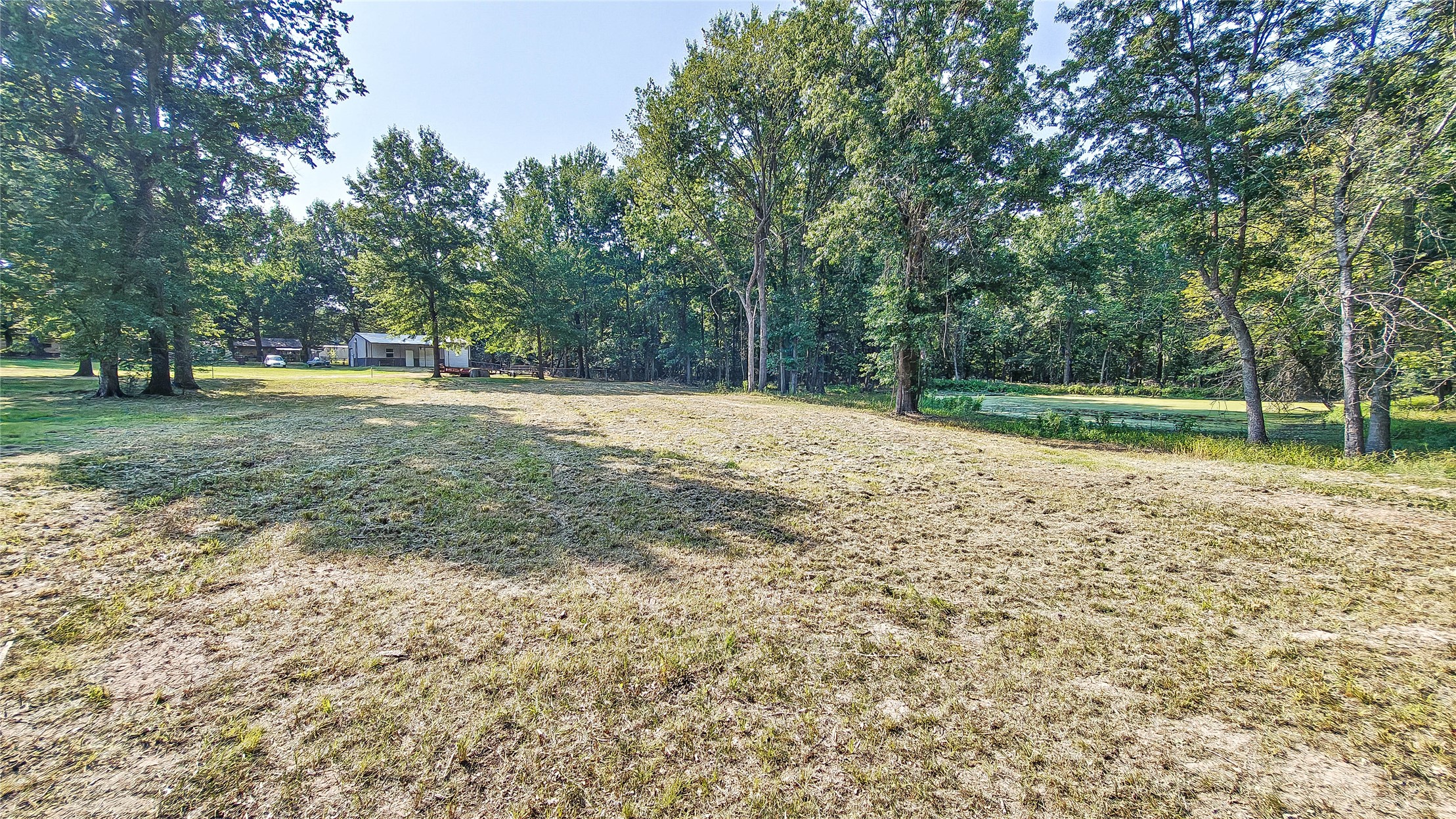 Lynn Lane Property Photo 20