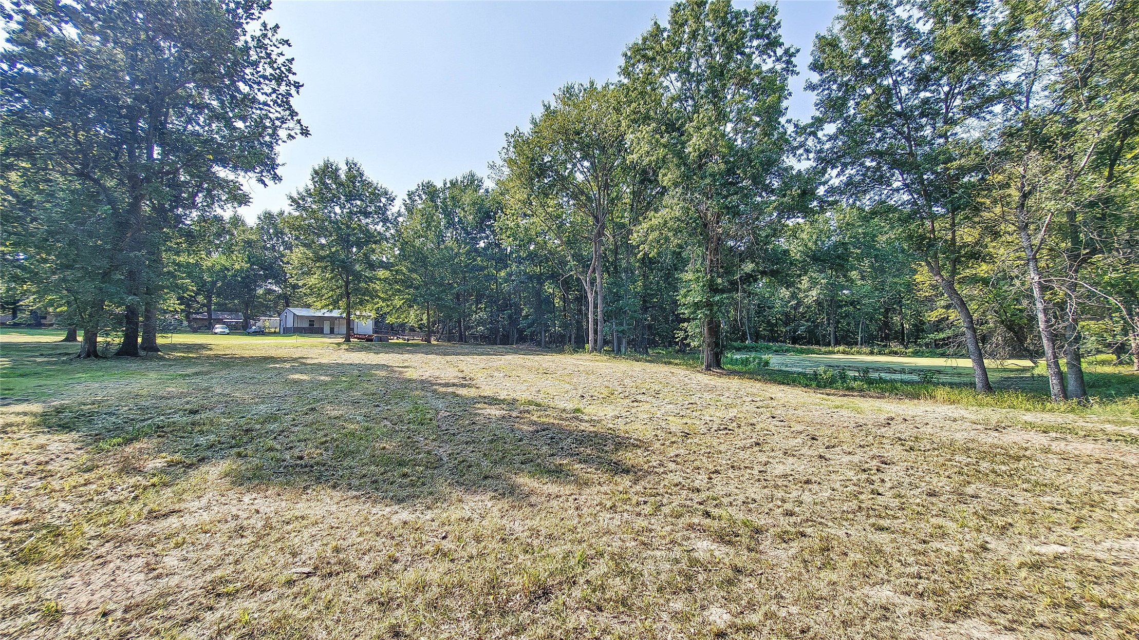 Lynn Lane Property Photo 21