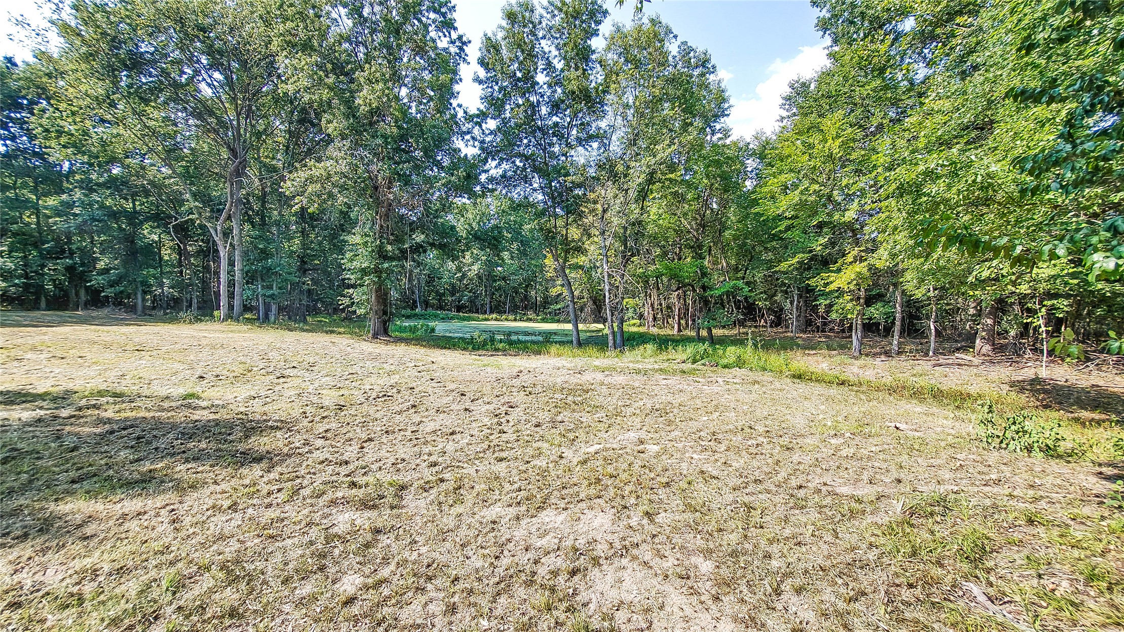 Lynn Lane Property Photo 22