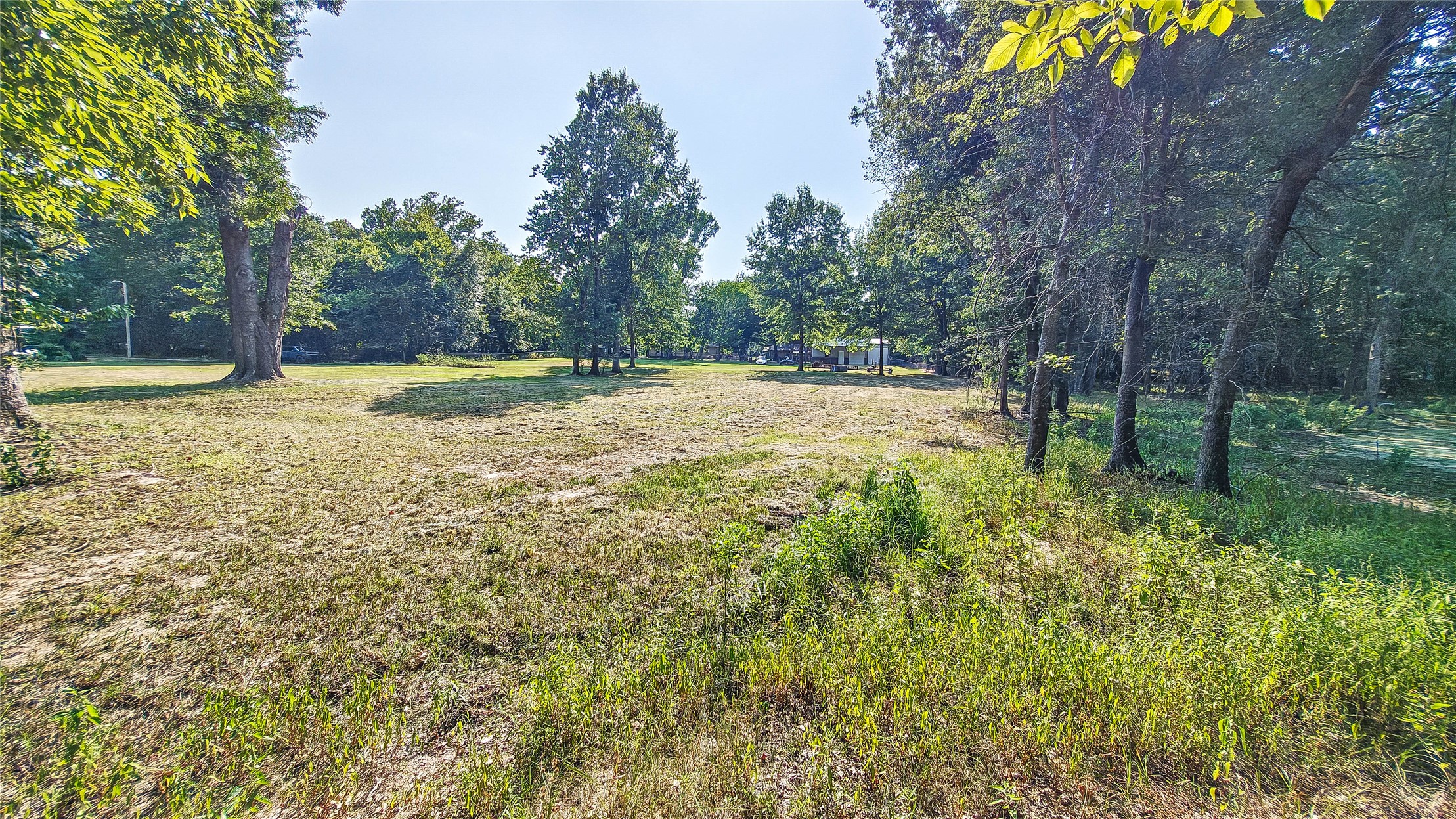 Lynn Lane Property Photo 23