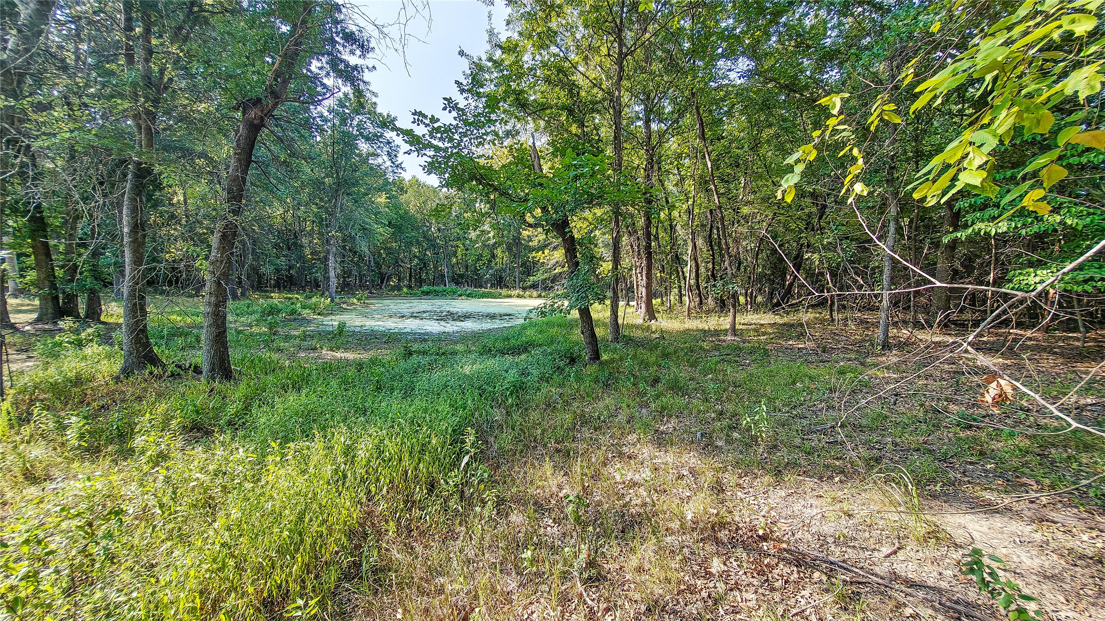 Lynn Lane Property Photo 24