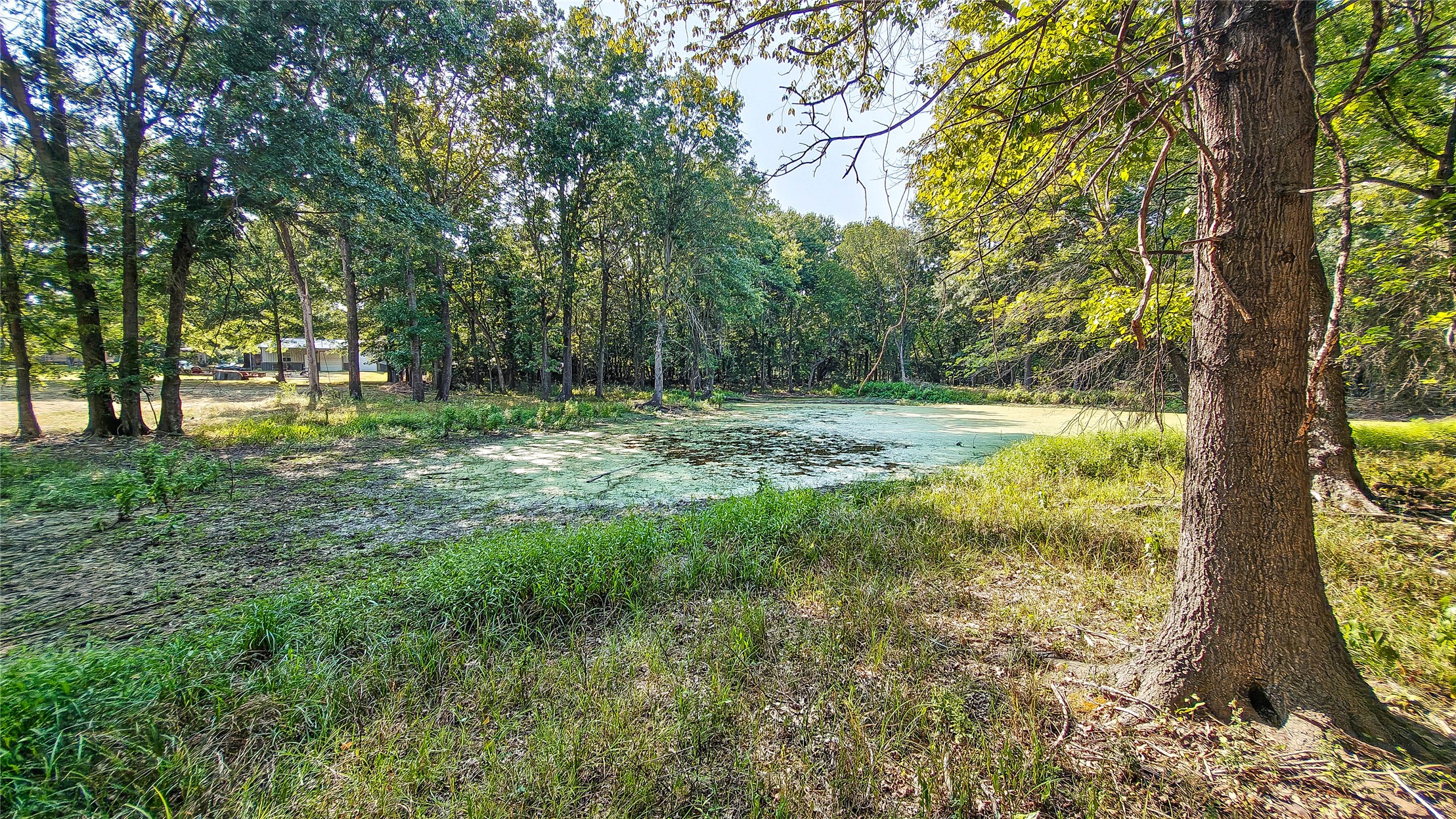 Lynn Lane Property Photo 25