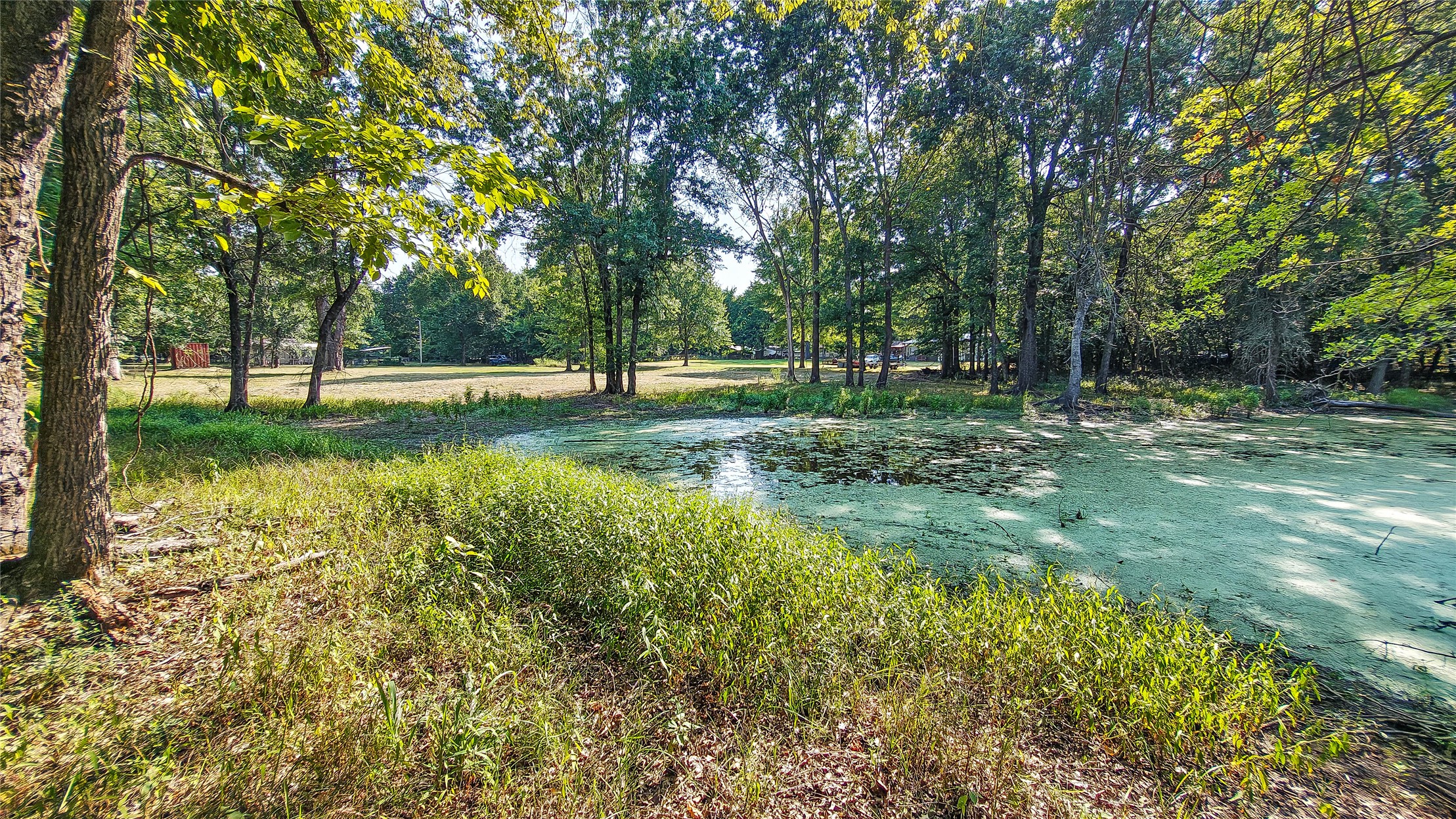 Lynn Lane Property Photo 26
