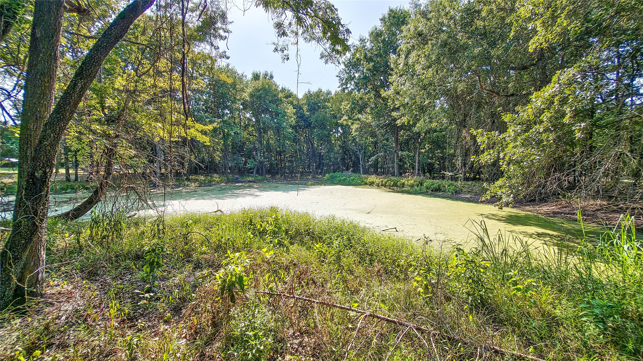 Lynn Lane Property Photo 27