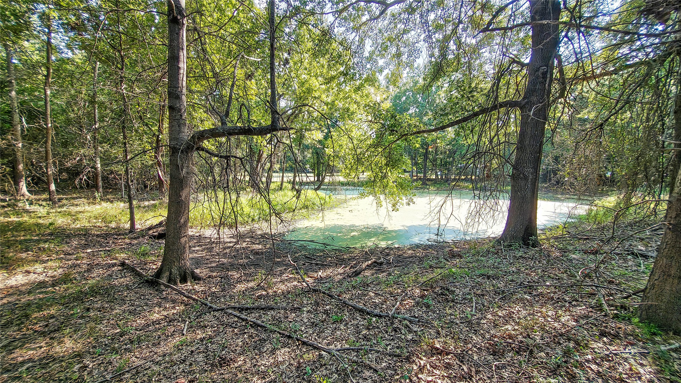 Lynn Lane Property Photo 28