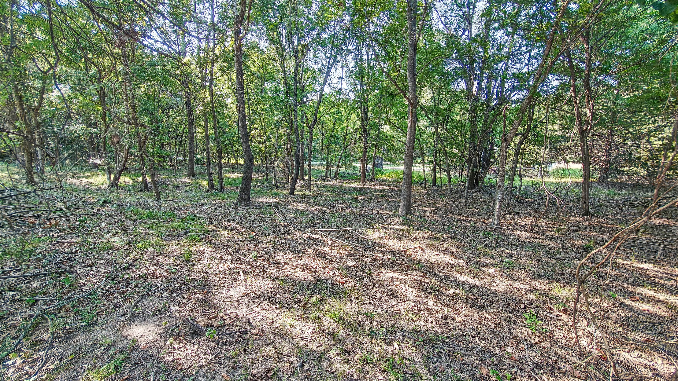 Lynn Lane Property Photo 29