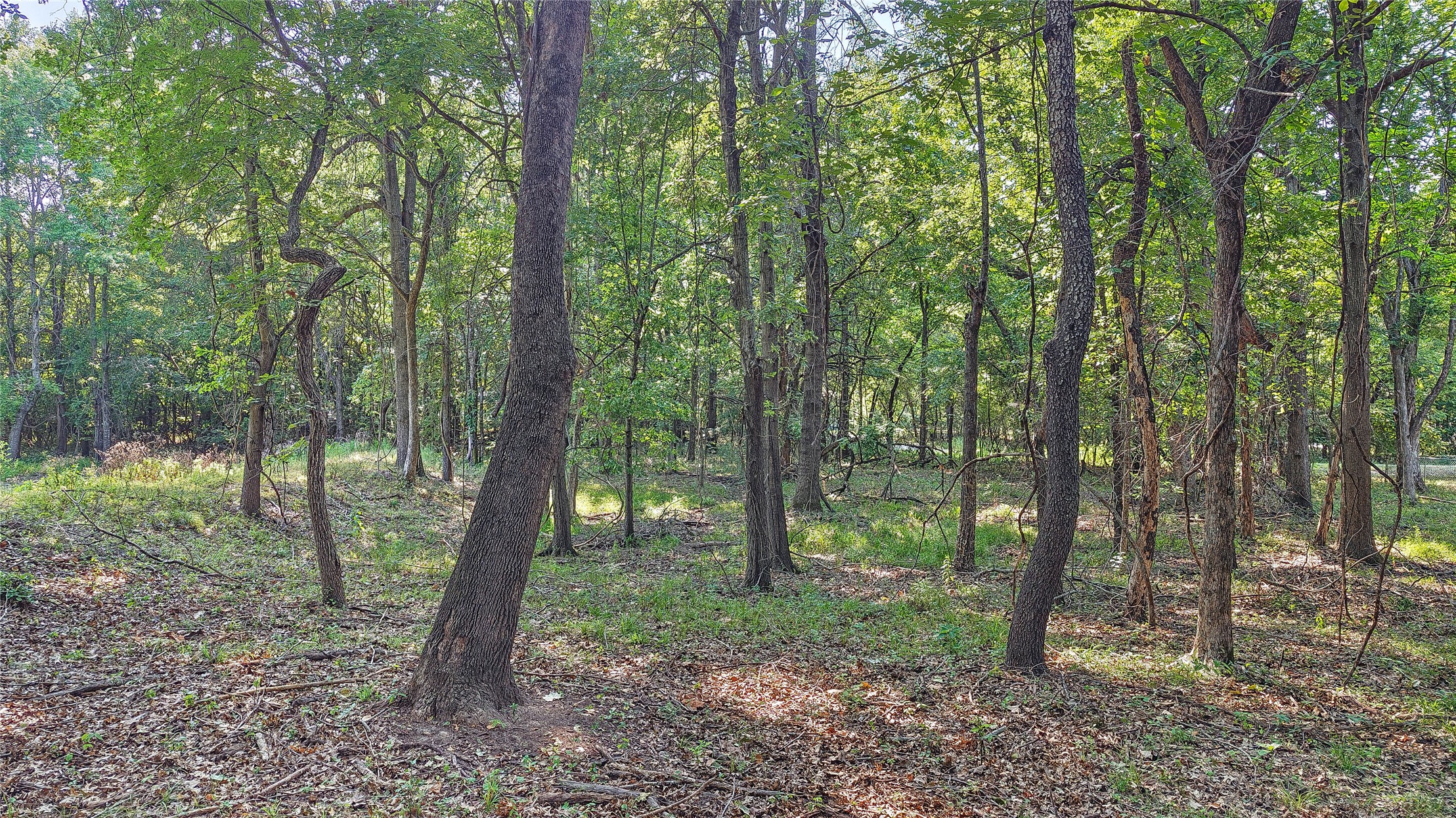 Lynn Lane Property Photo 30