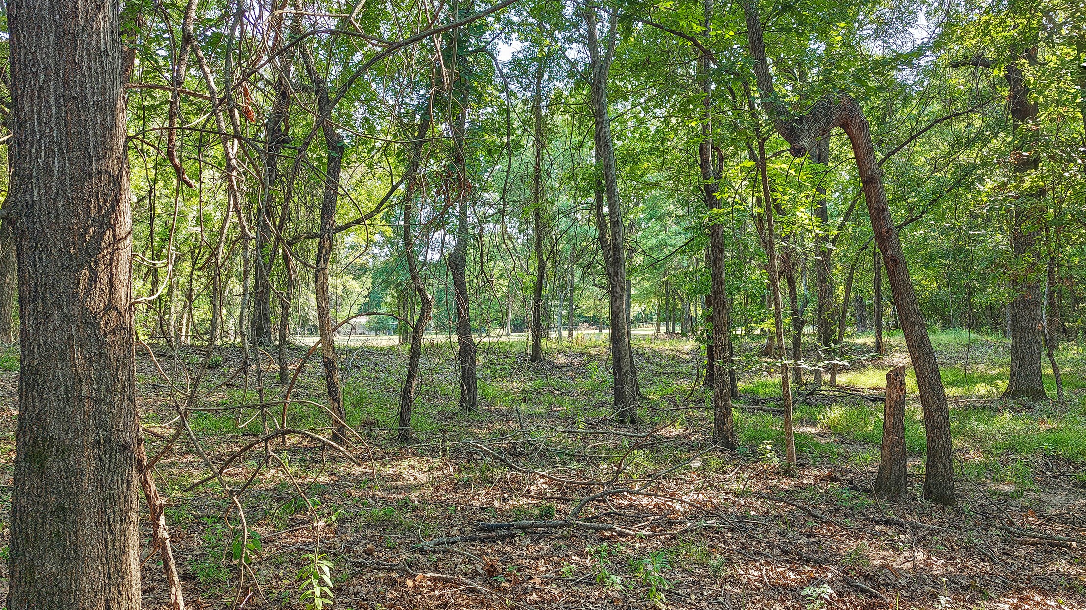 Lynn Lane Property Photo 31