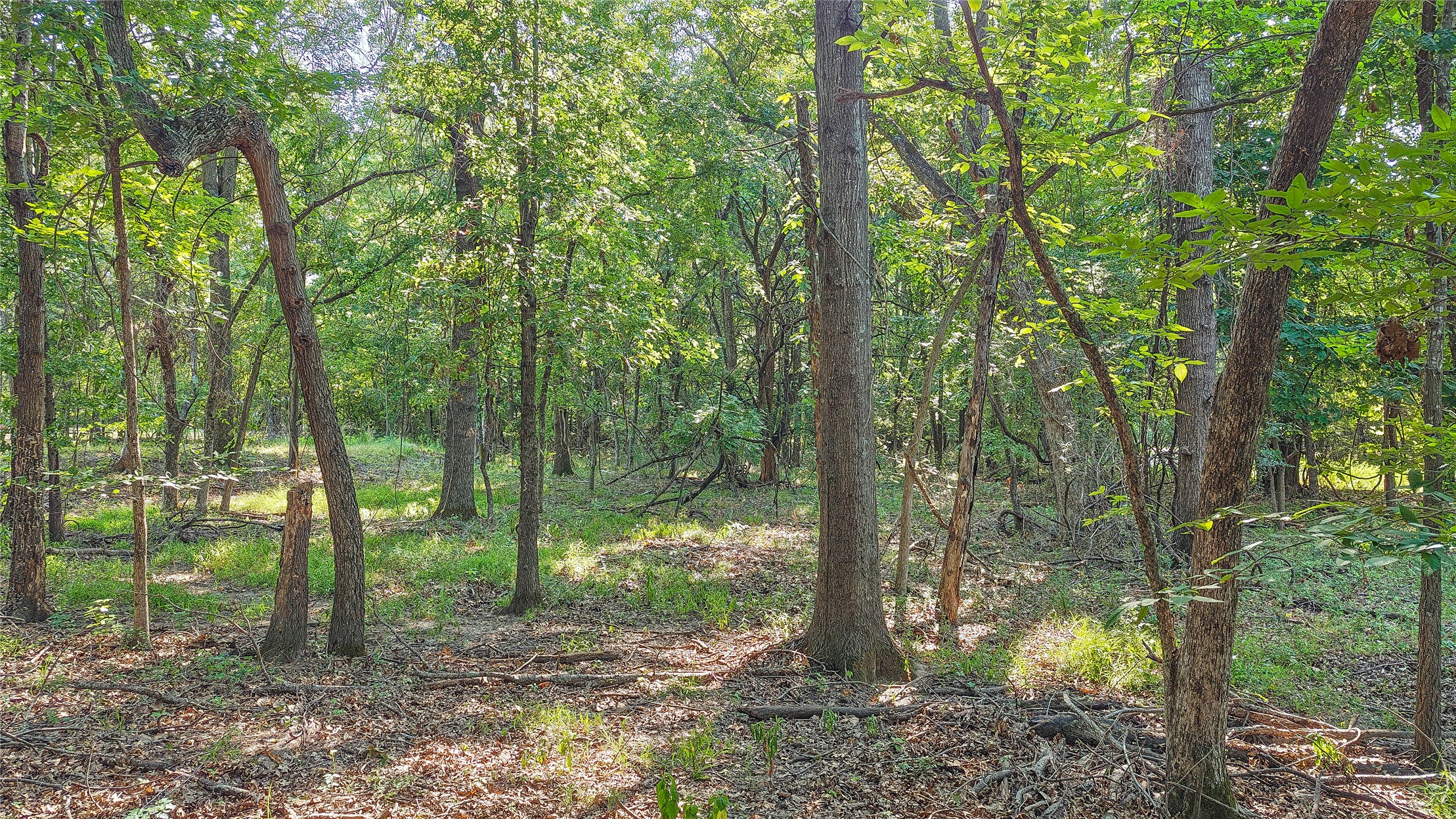 Lynn Lane Property Photo 32