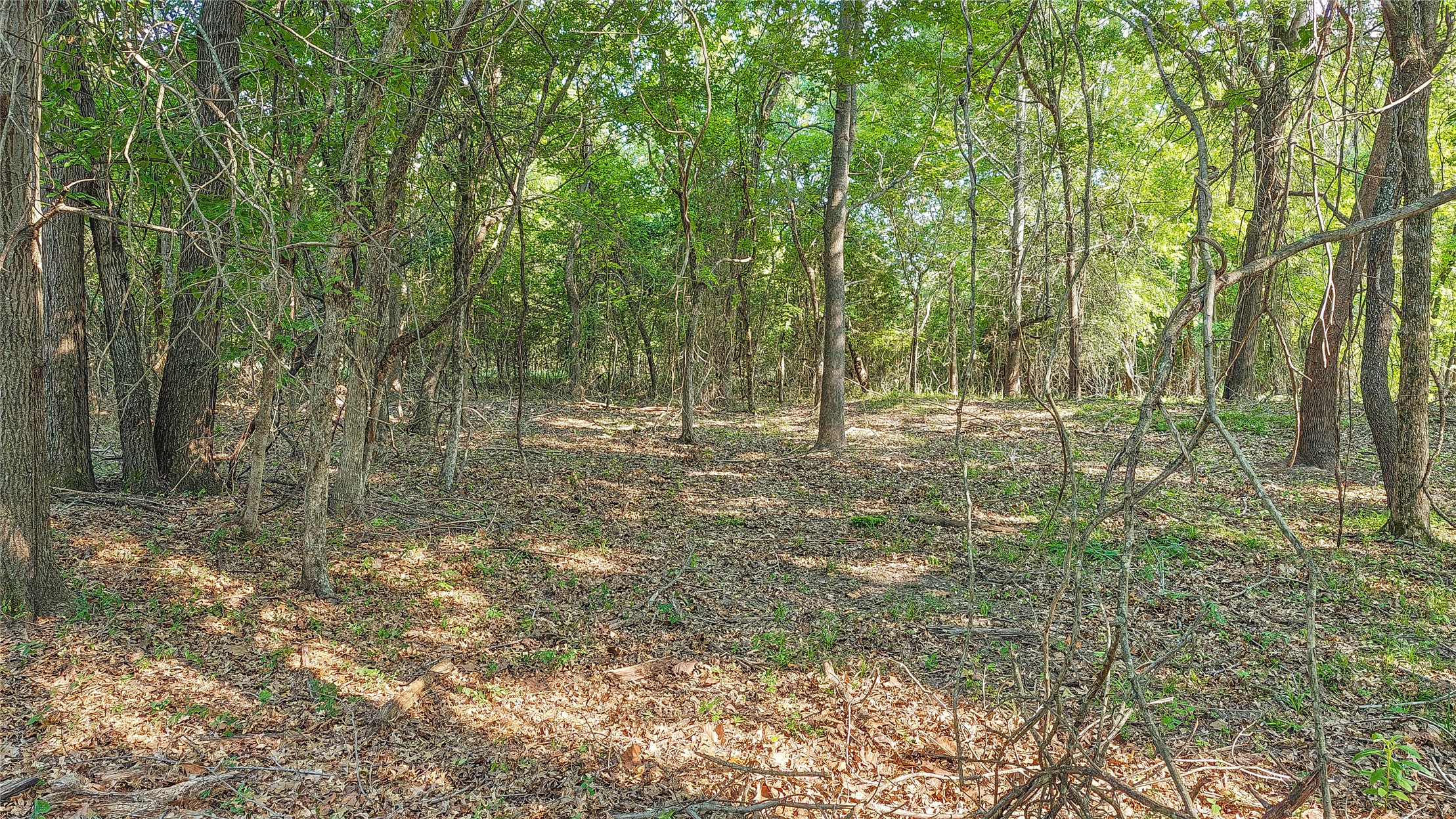 Lynn Lane Property Photo 33