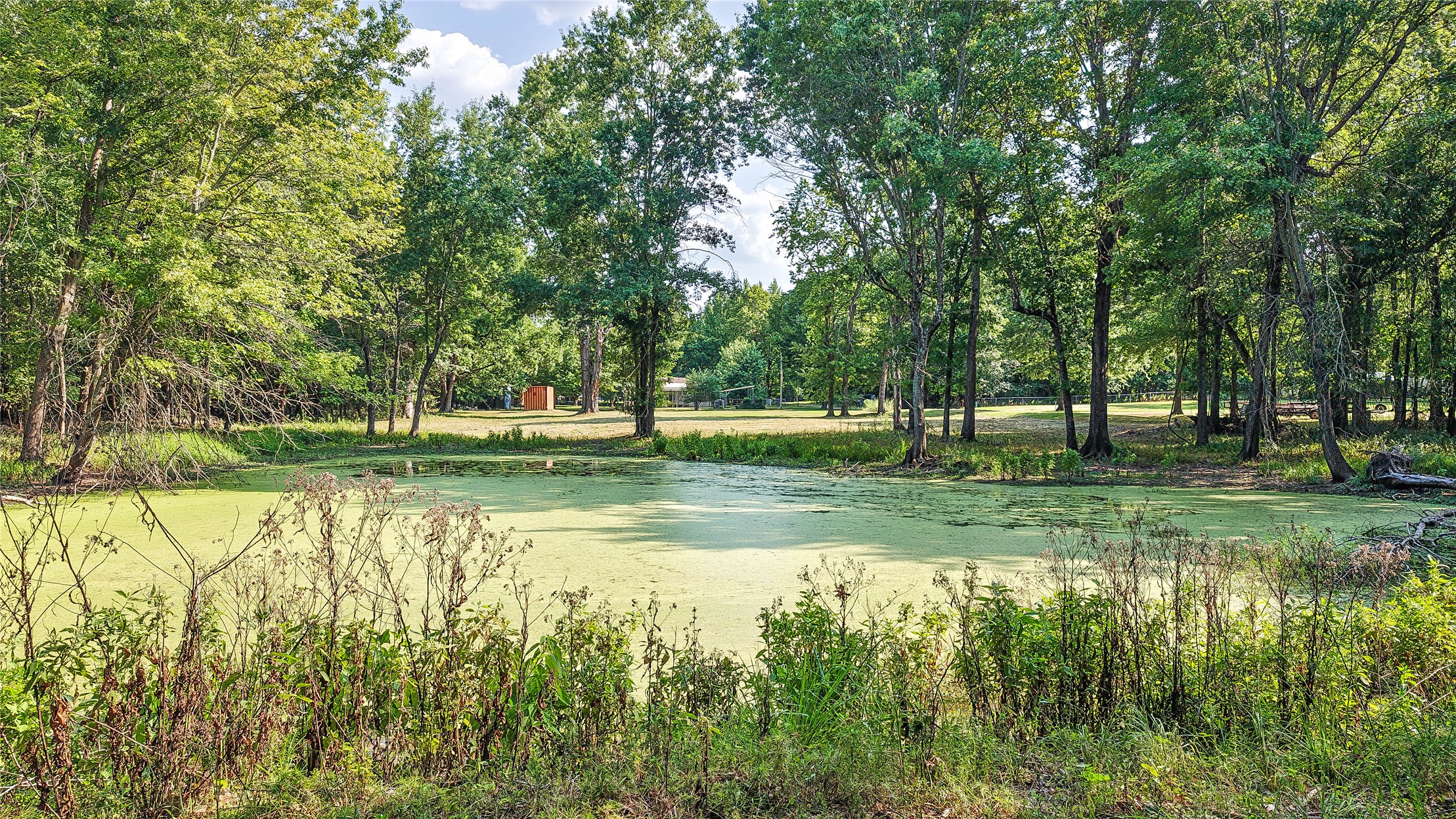 Lynn Lane Property Photo 34