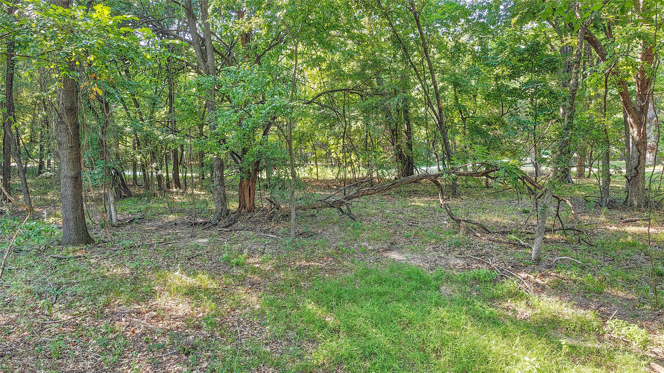 Lynn Lane Property Photo 35