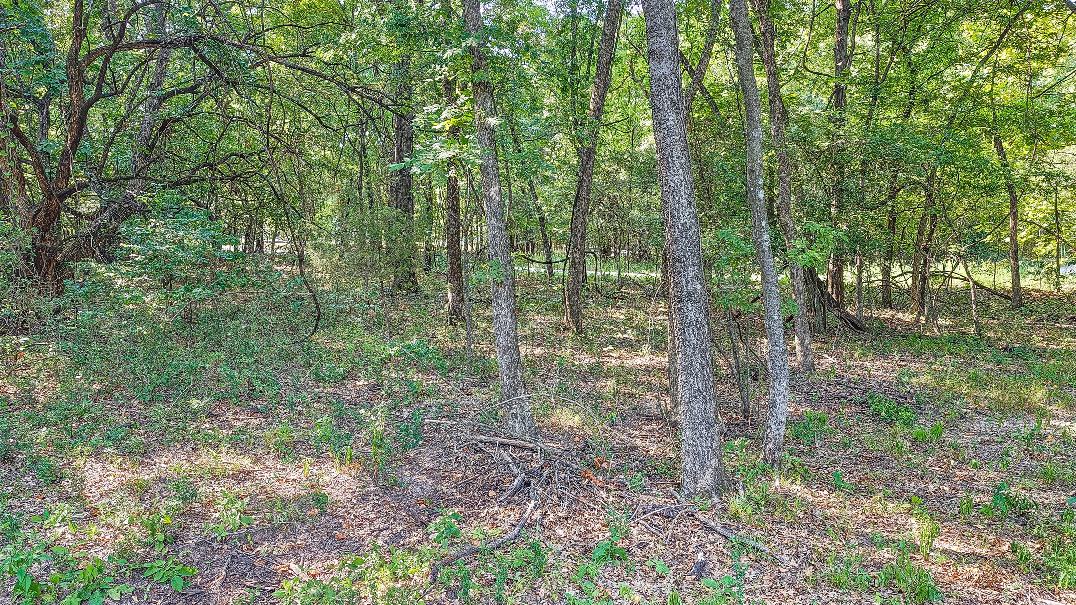Lynn Lane Property Photo 37