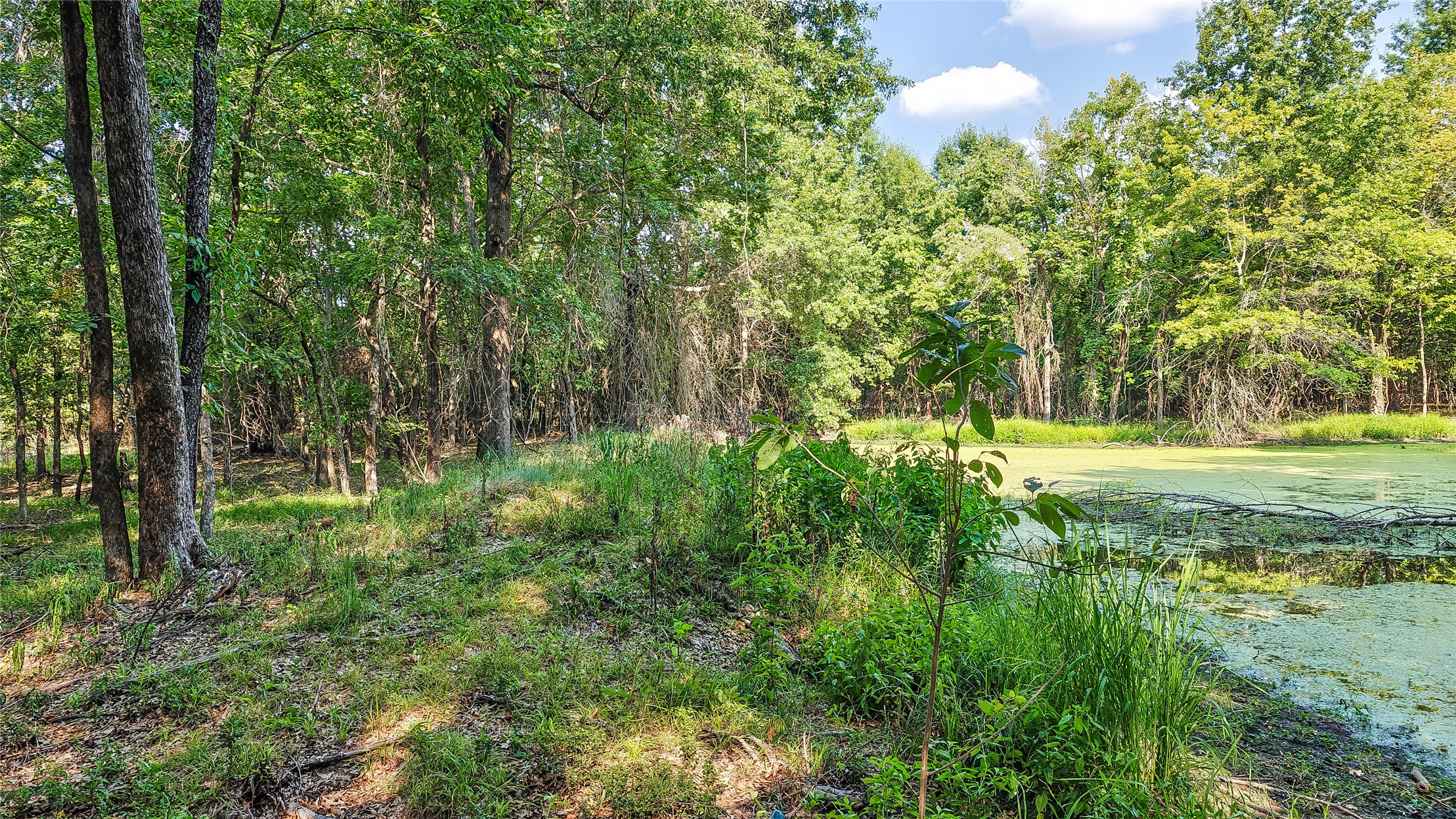 Lynn Lane Property Photo 38