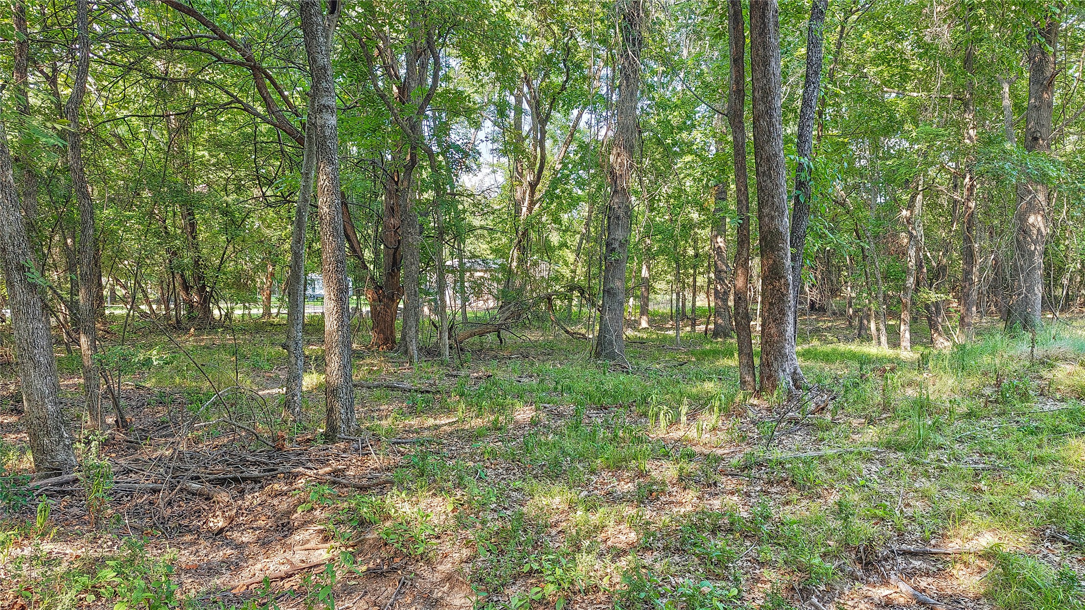 Lynn Lane Property Photo 39