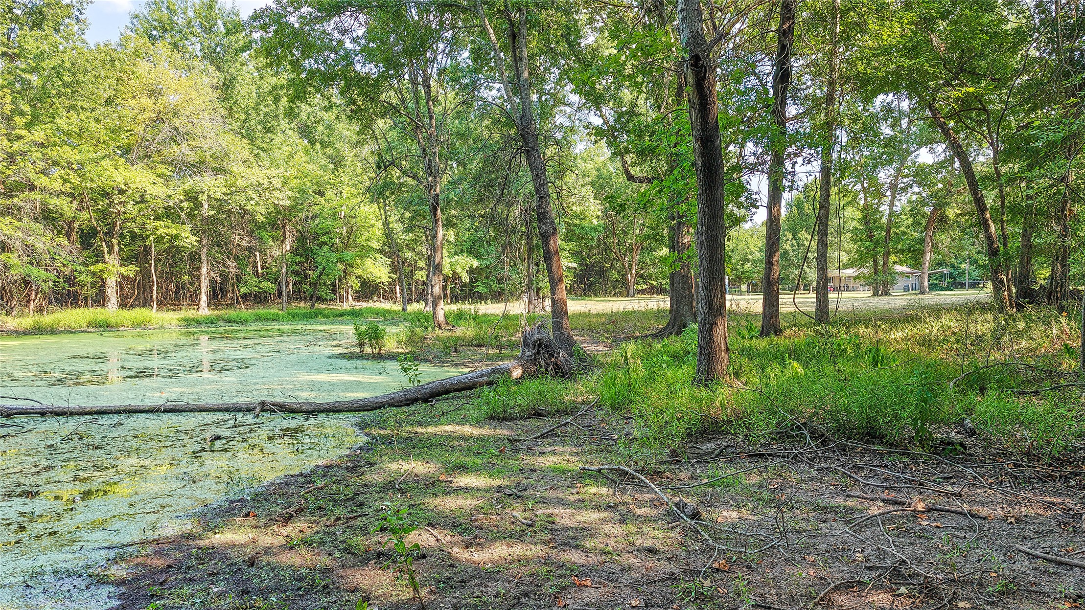 Lynn Lane Property Photo 43