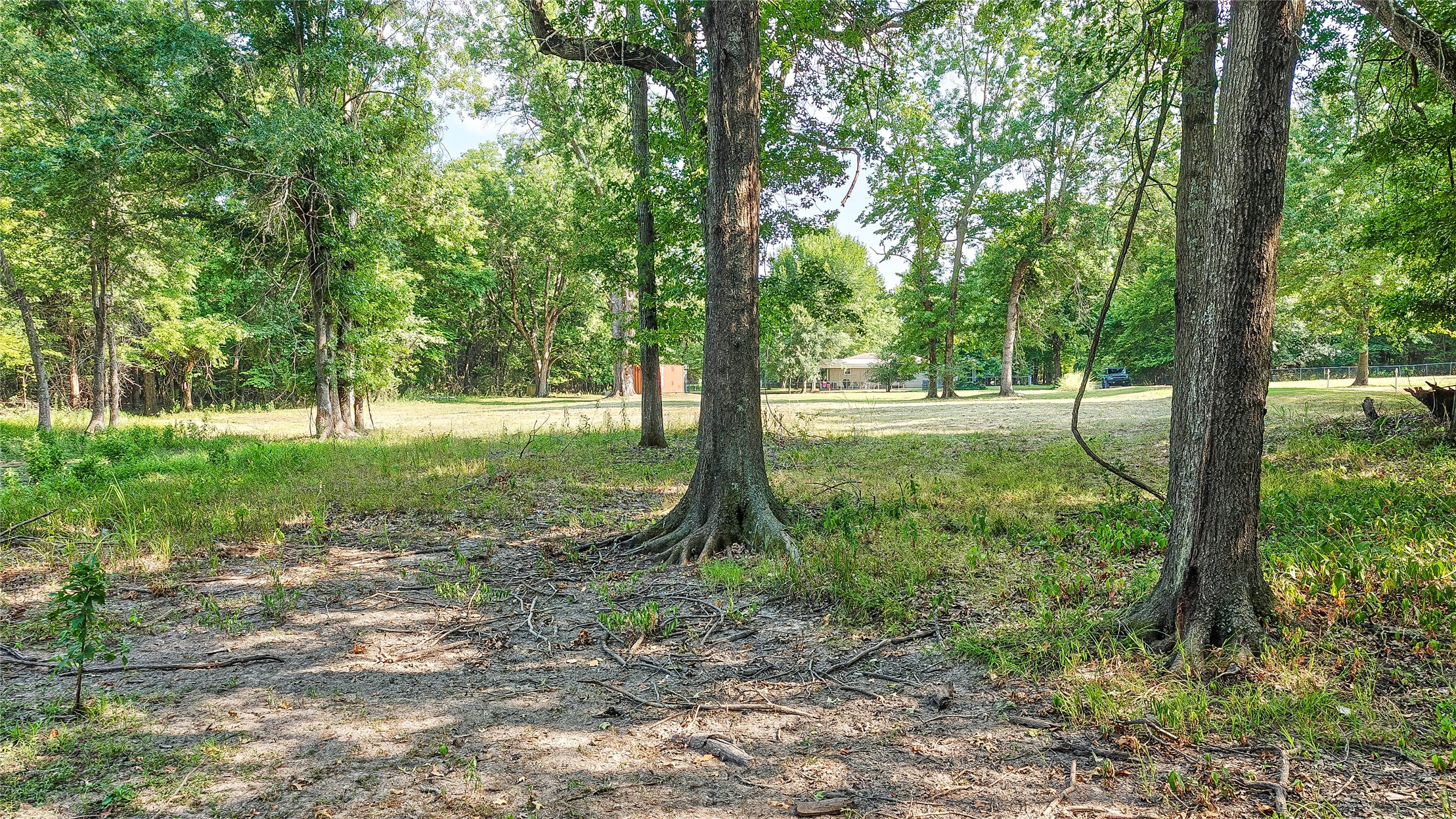 Lynn Lane Property Photo 45
