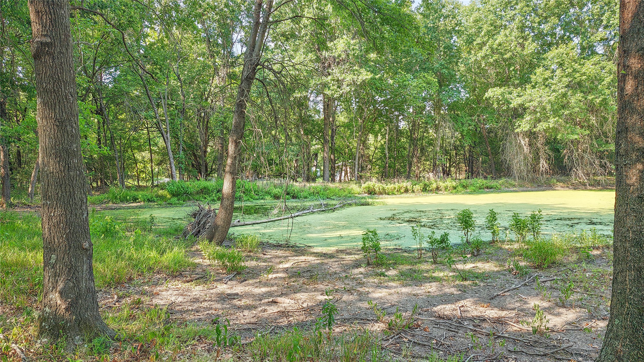 Lynn Lane Property Photo 46