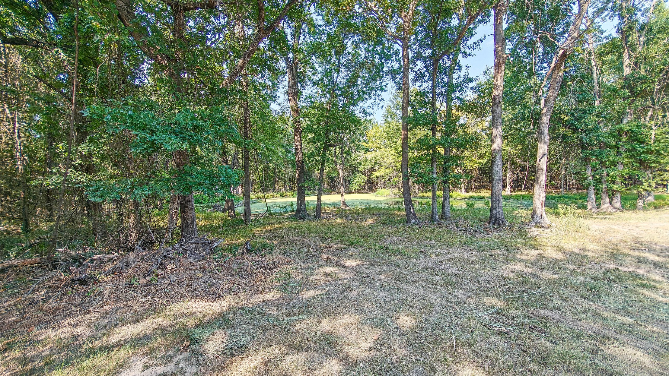 Lynn Lane Property Photo 47