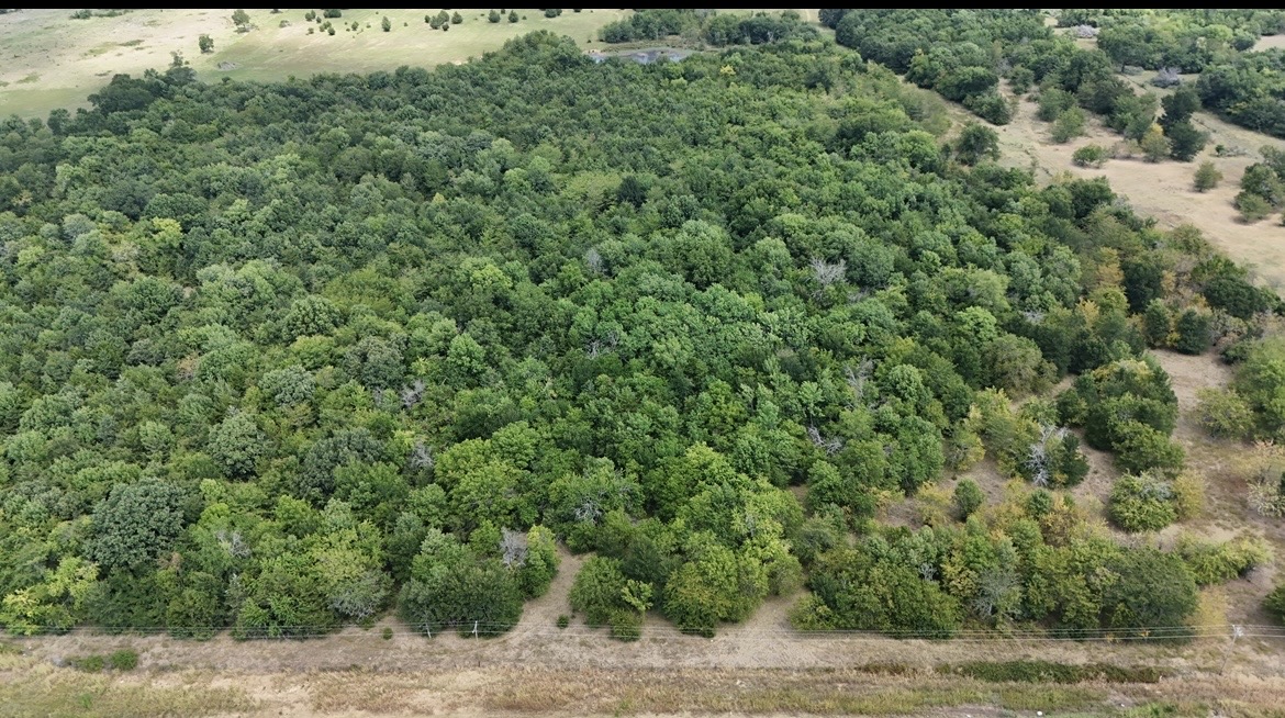 000 Us Hwy 70 Property Photo 5
