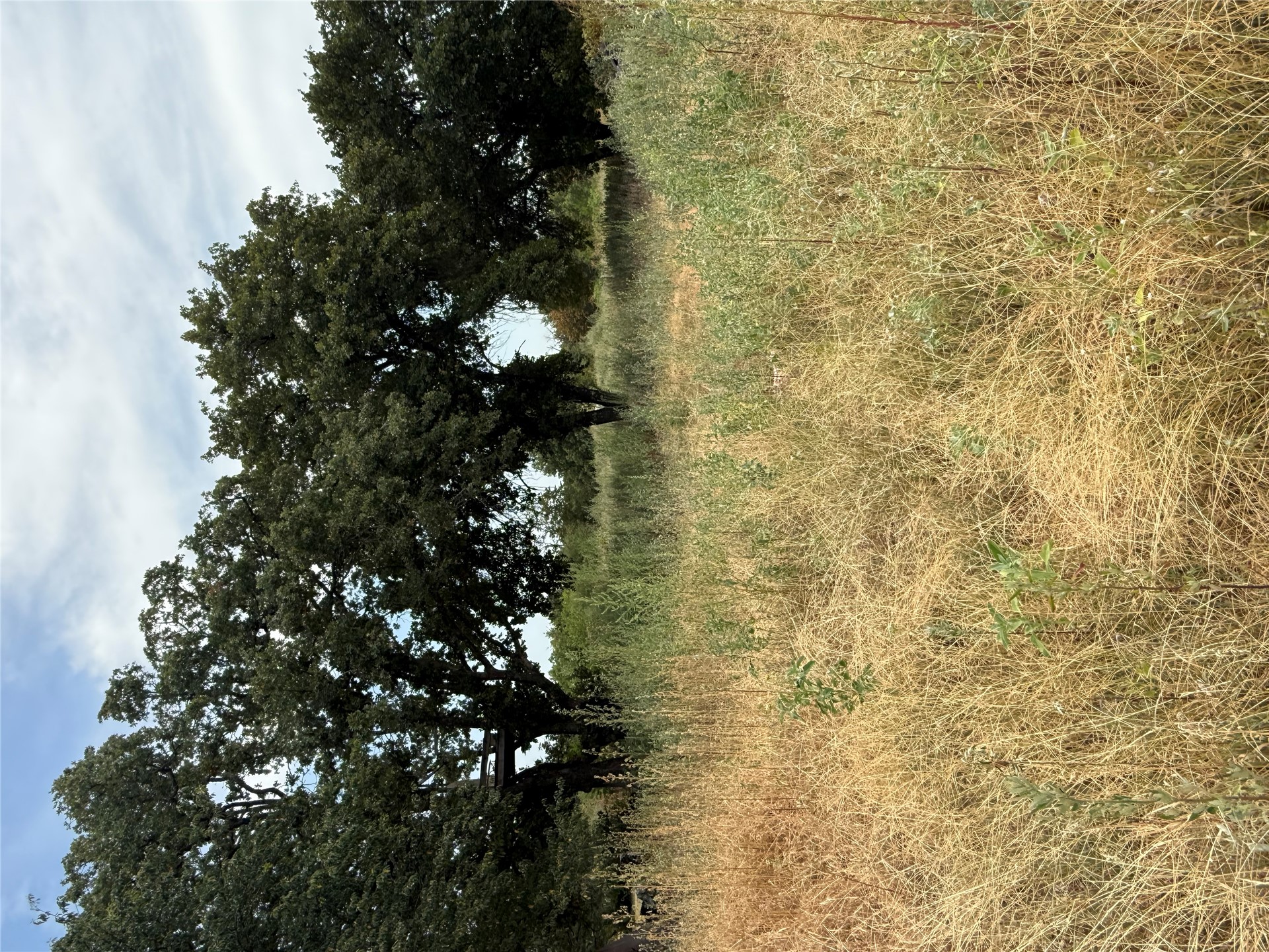 167 Farmer Property Photo 1