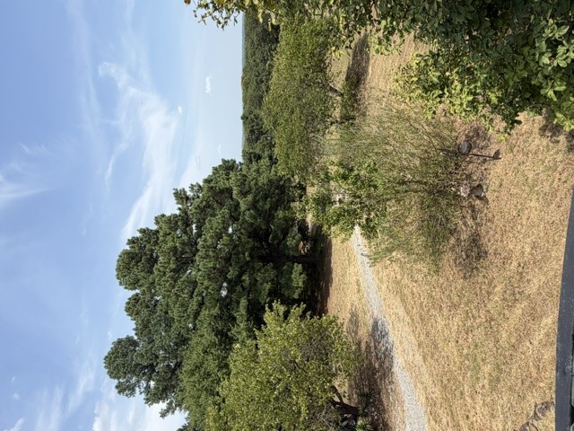 3075 Sawmill Road Property Photo 36