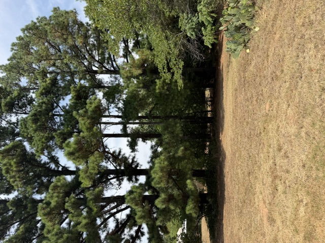 3075 Sawmill Road Property Photo 45