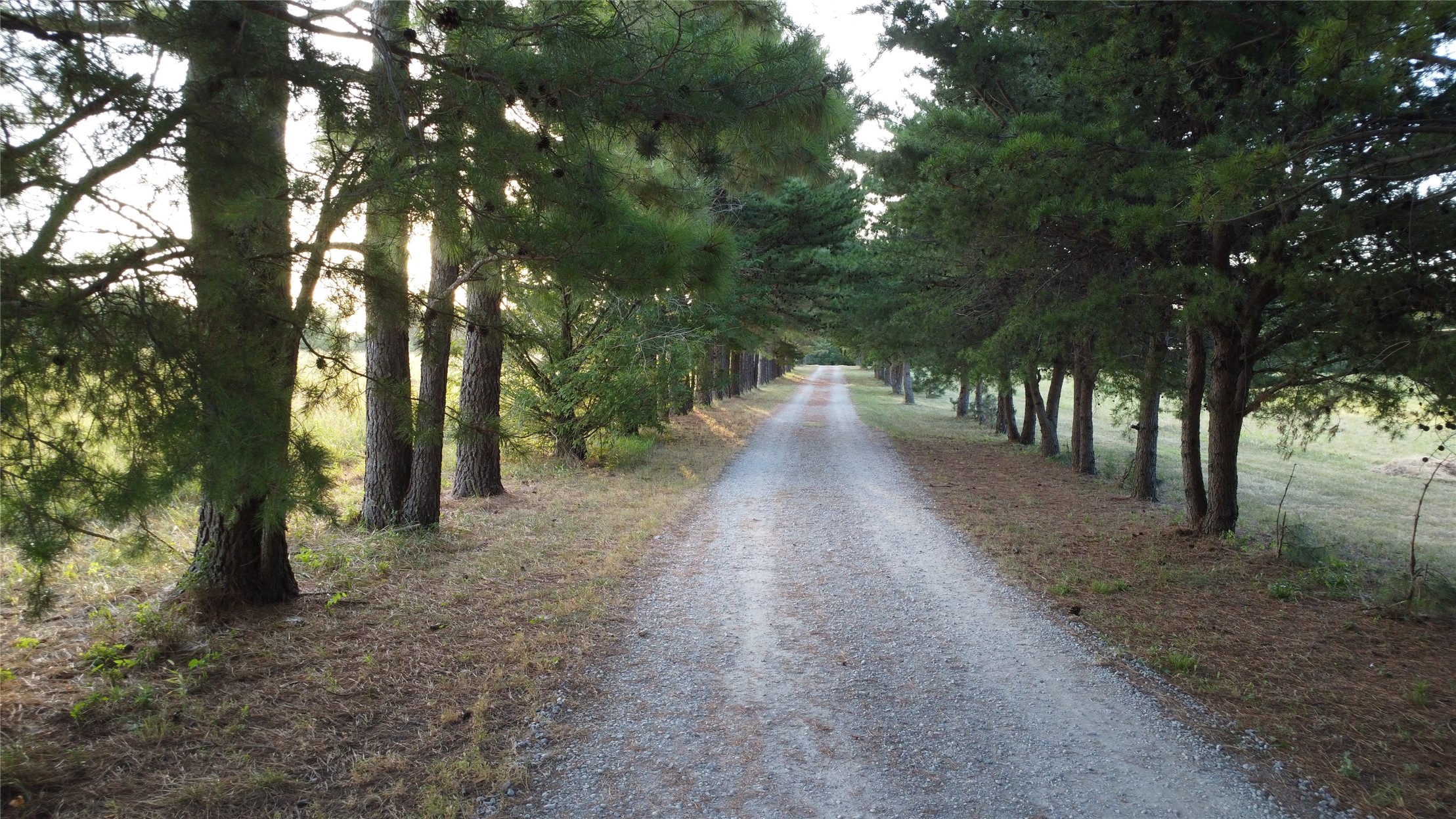 17156 S 4102 Road Property Photo 43
