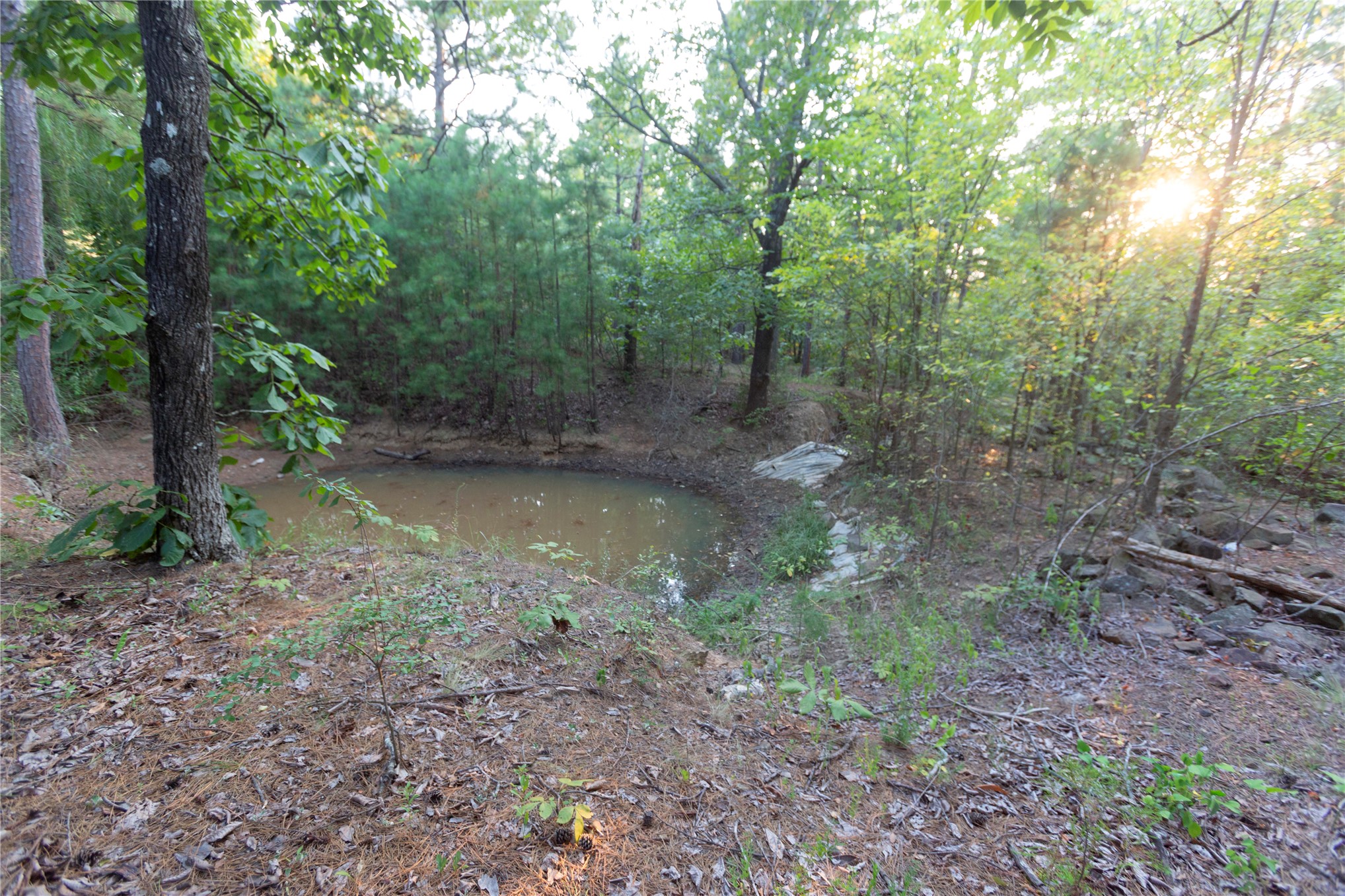 62 Se Hwy 1 Property Photo 50