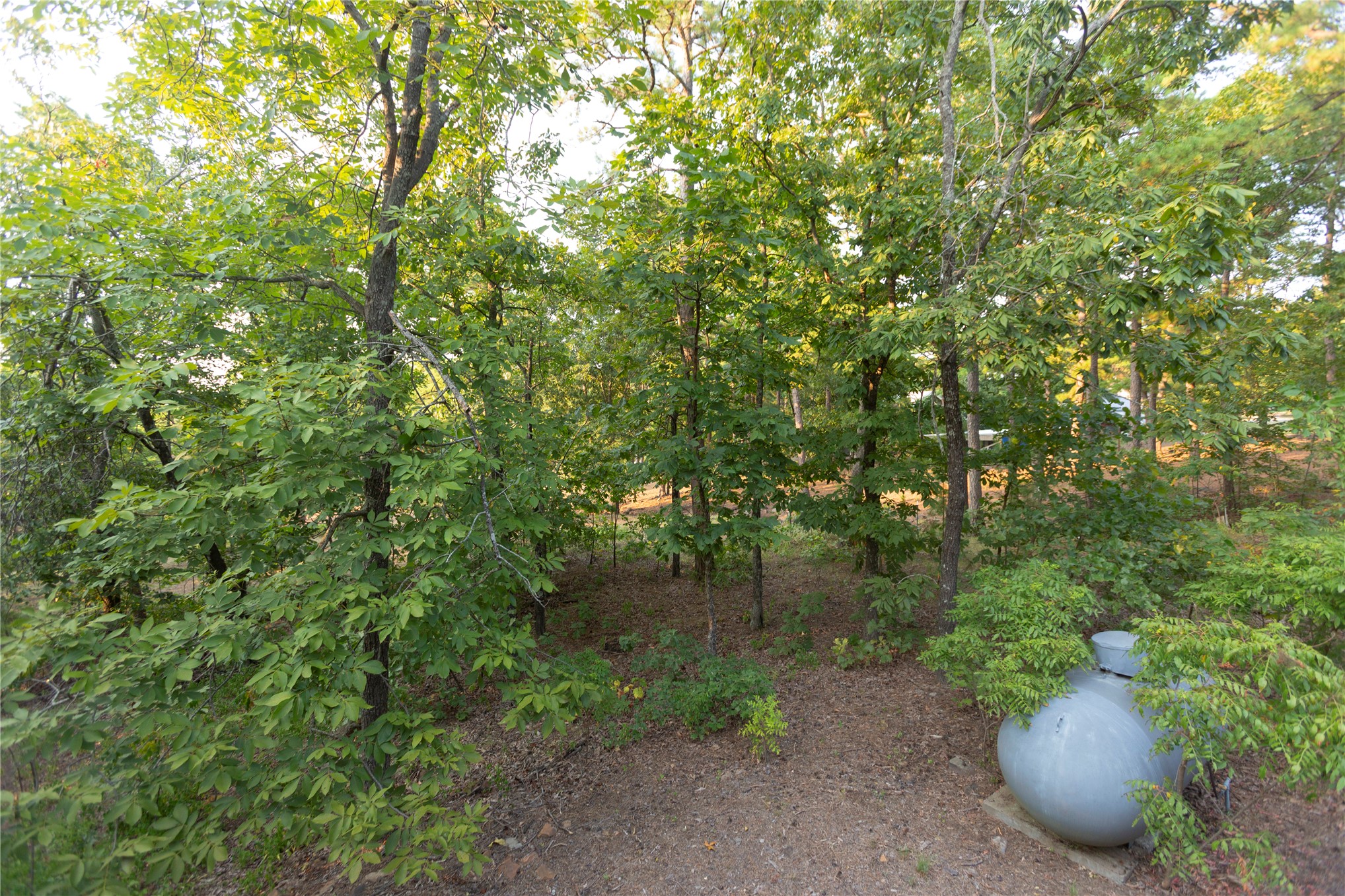 62 Se Hwy 1 Property Photo 60