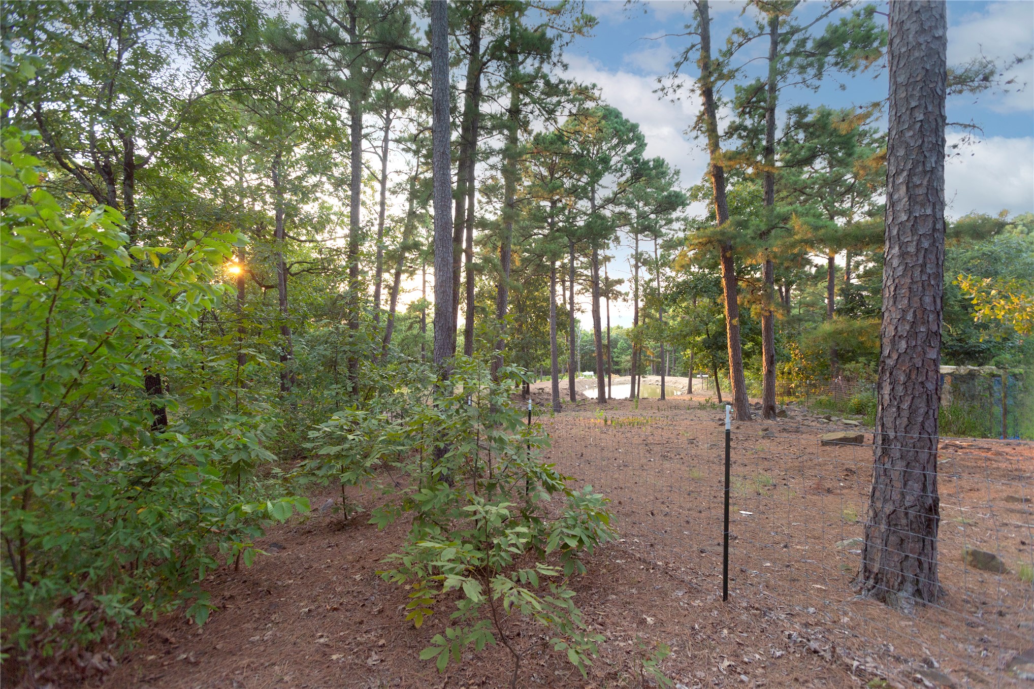 62 Se Hwy 1 Property Photo 61