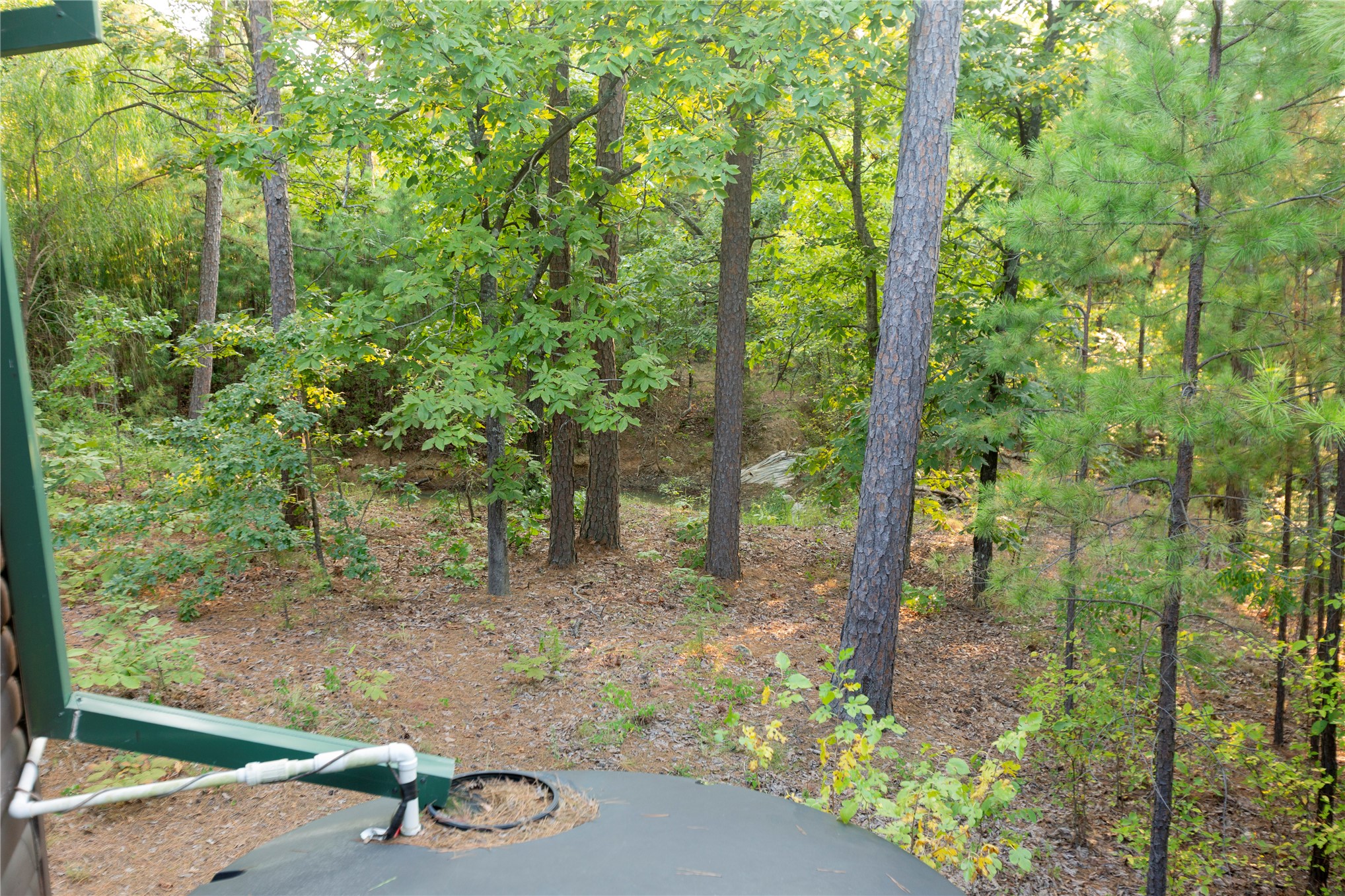 62 Se Hwy 1 Property Photo 62