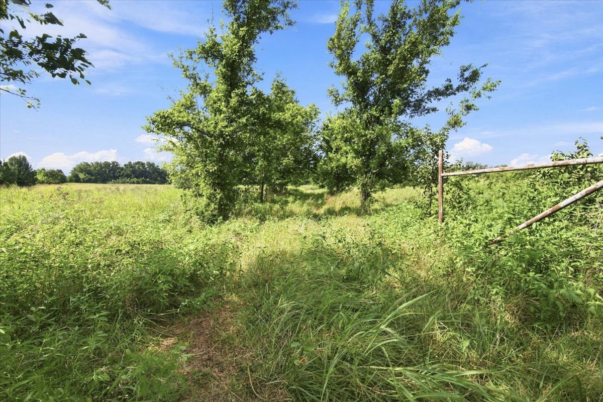 69 W 360 Road Property Photo 19