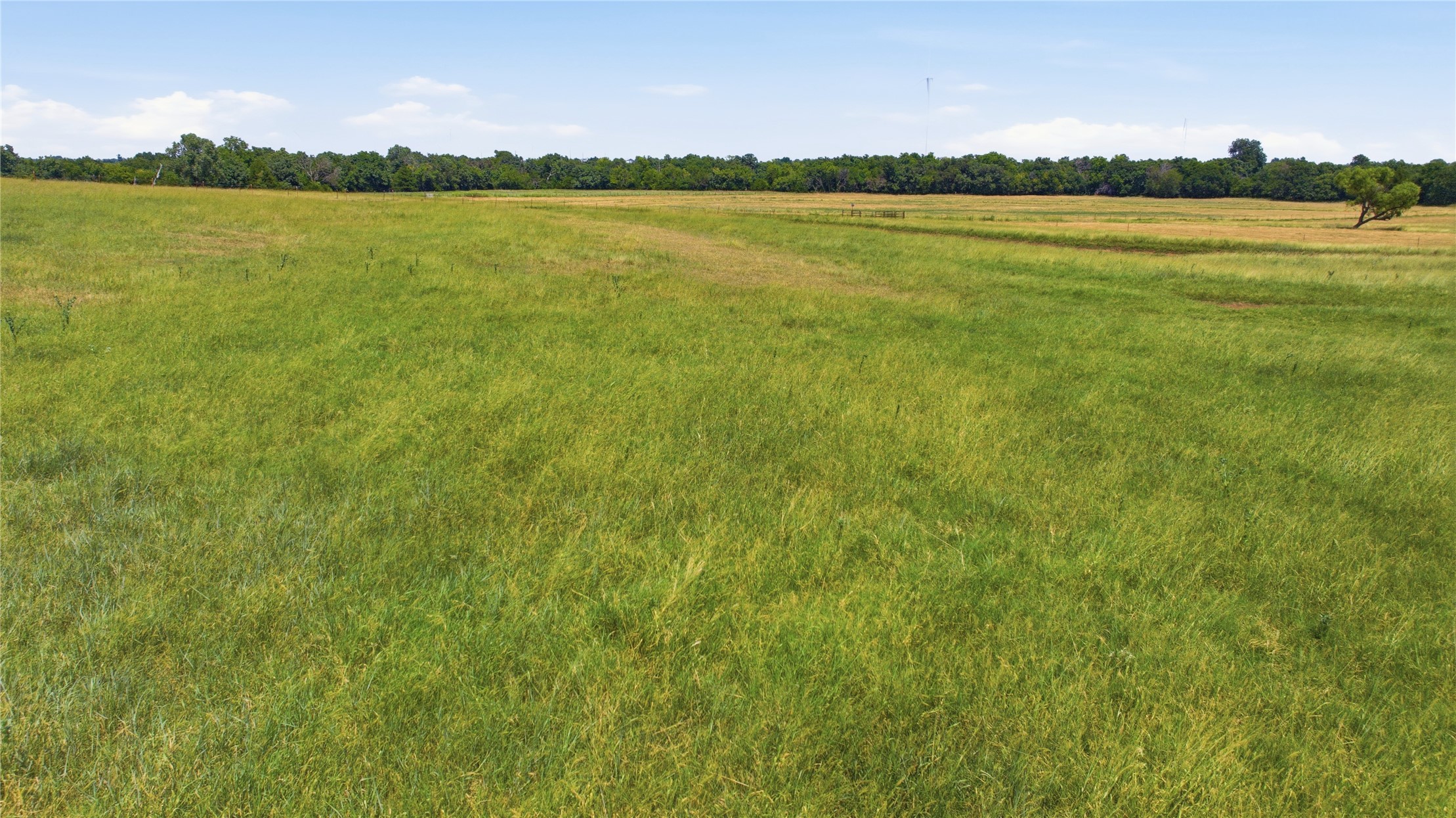 3006 Highway 51 Highway Property Photo 84