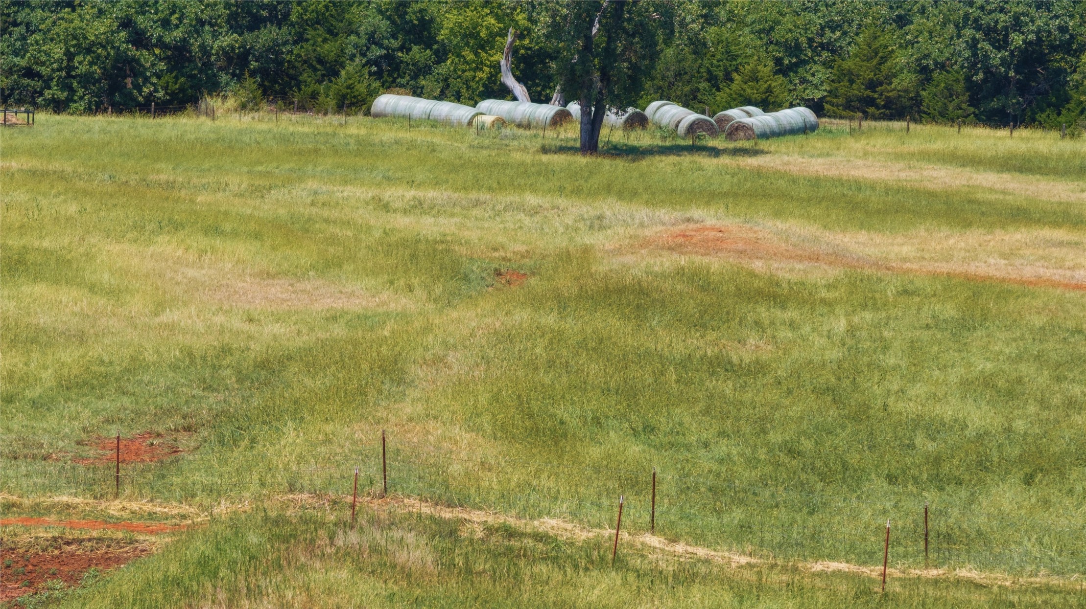 3006 Highway 51 Highway Property Photo 89