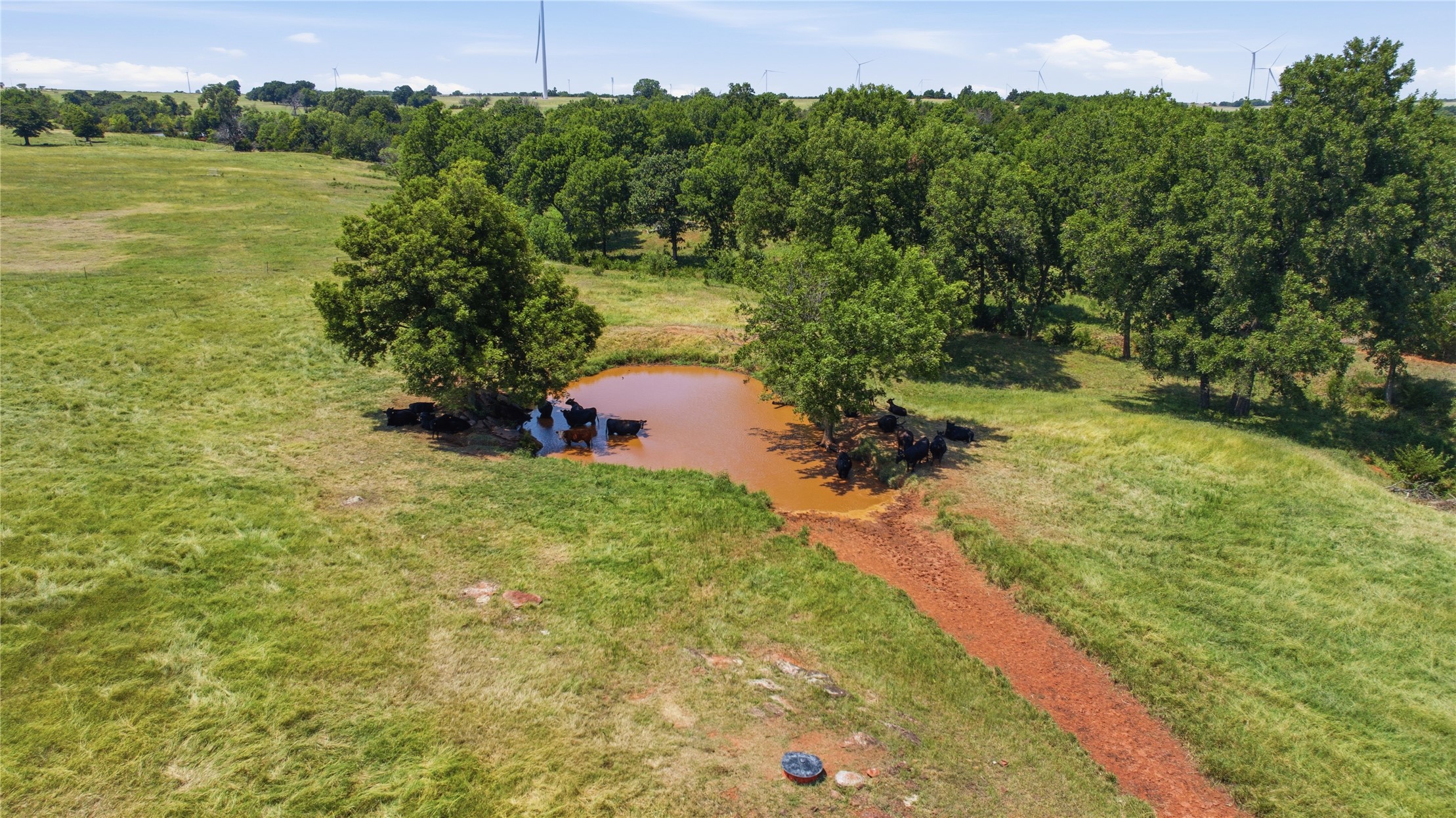 3006 Highway 51 Highway Property Photo 90