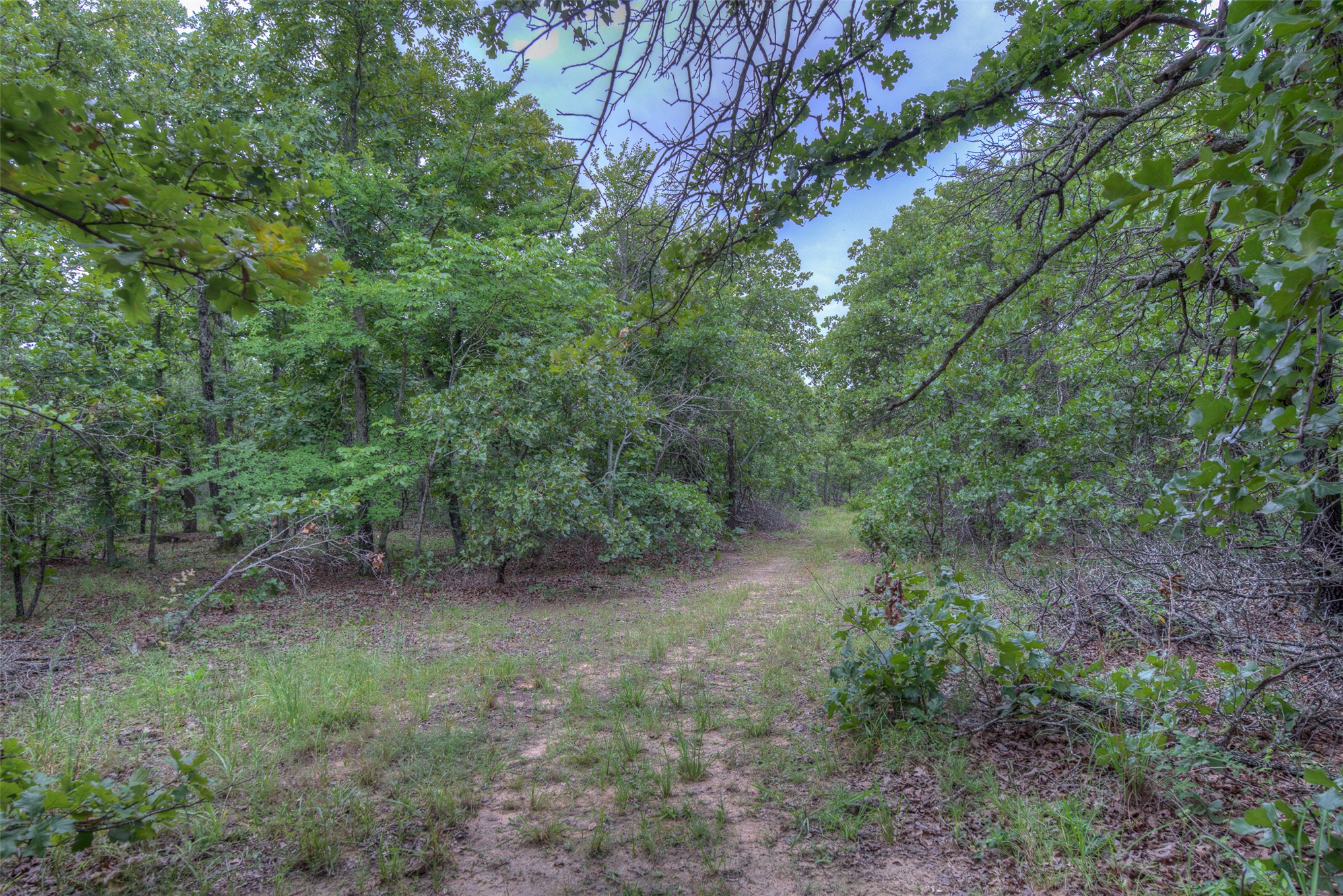 W Dogwood Lane Property Photo 4