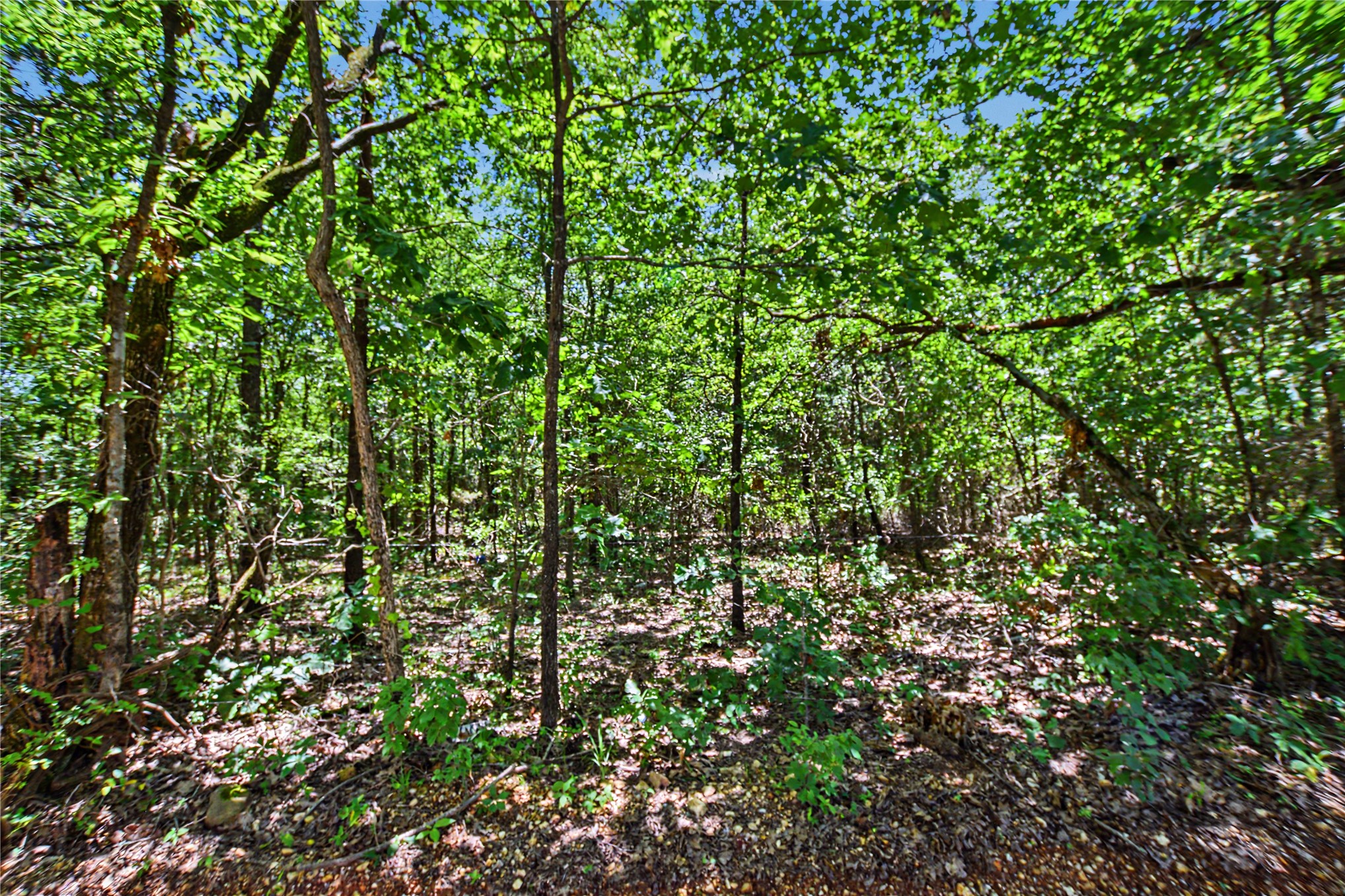 22501 E 830 Road Property Photo 1
