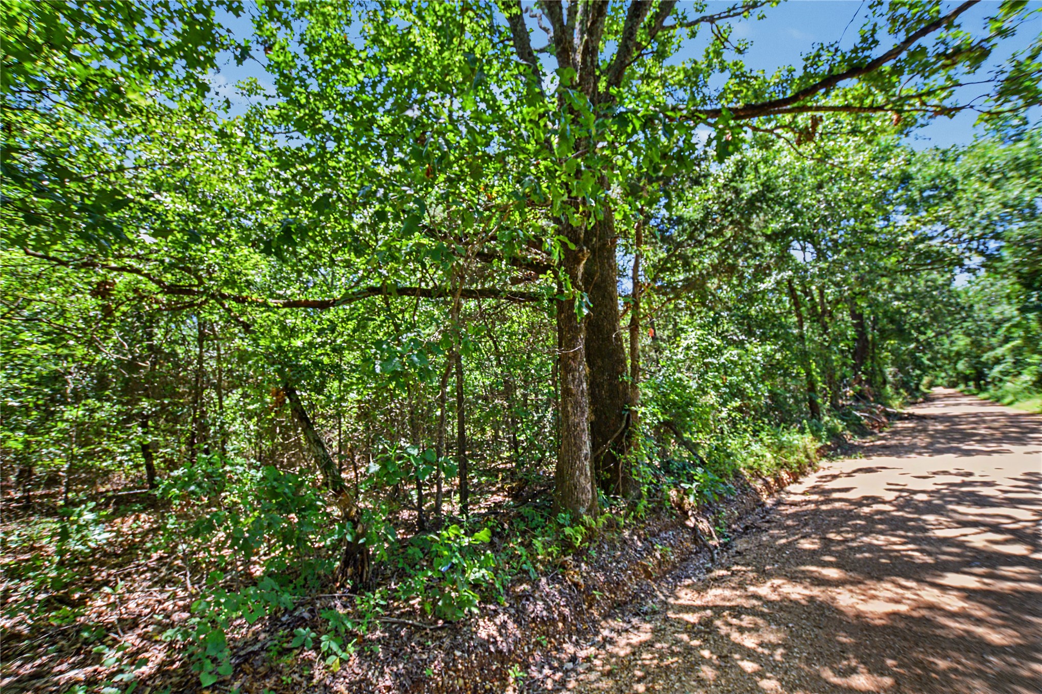 22501 E 830 Road Property Photo 3