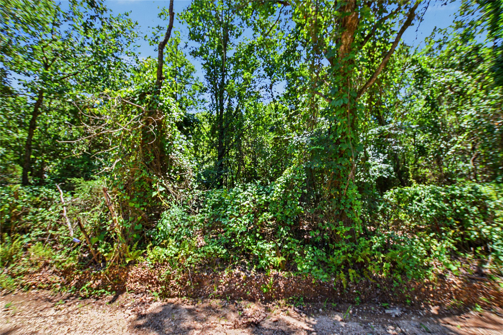 22501 E 830 Road Property Photo 4